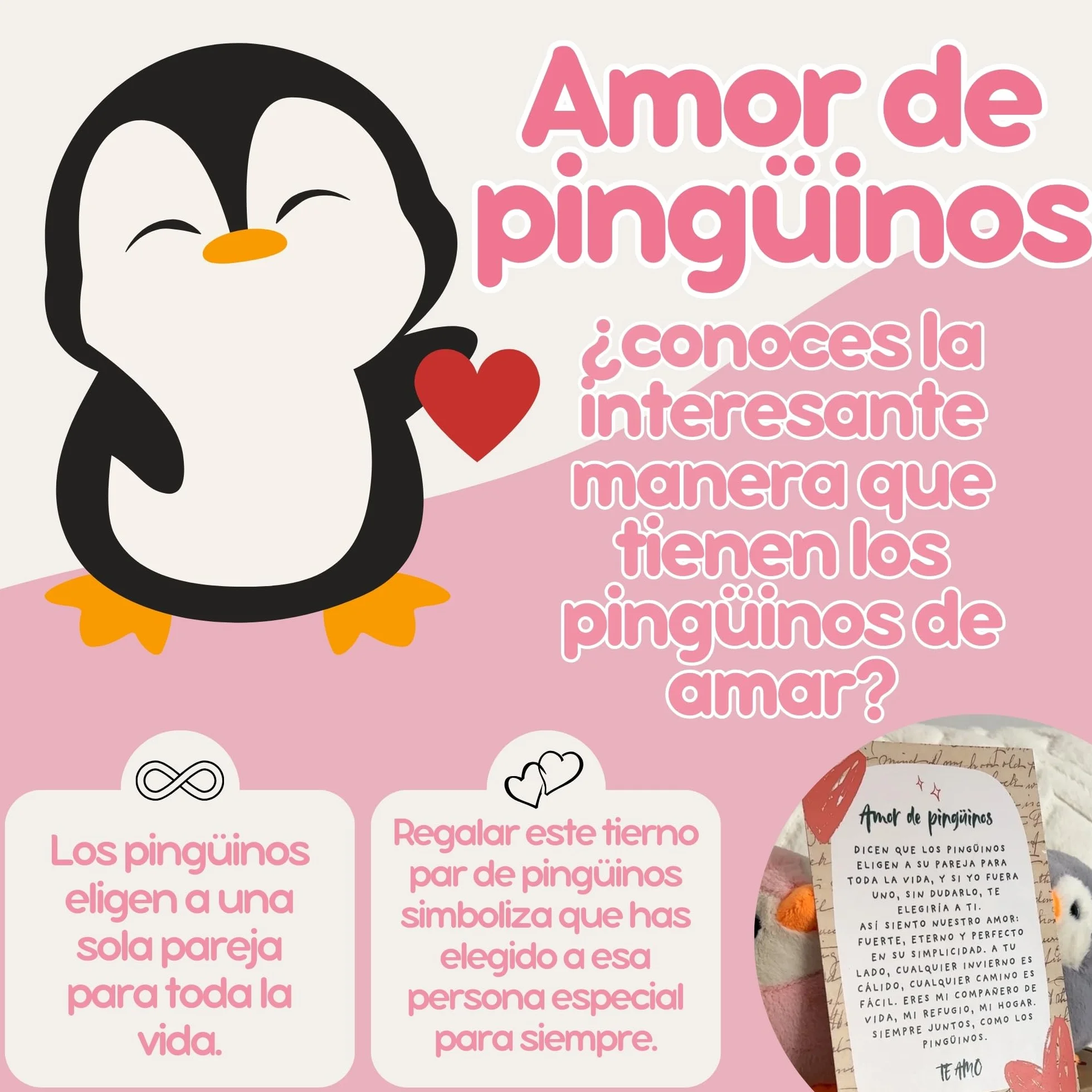 Regalo Pareja | Peluches Pingüino con Carta de Amor y Caja Decorada | Regalos Originales para Aniversario Pareja | Regalos Personalizados para Enamorados o San Valentín