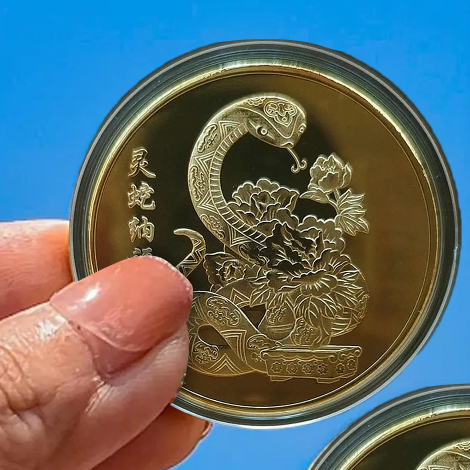 Moneda de la Suerte, Moneda de Buena Suerte - Moneda de Metal portátil de Año Nuevo | Conmemoración Coleccionable, Moneda de desafío del año Lunar, Recuerdo Chino para enriquecer a los coleccionistas