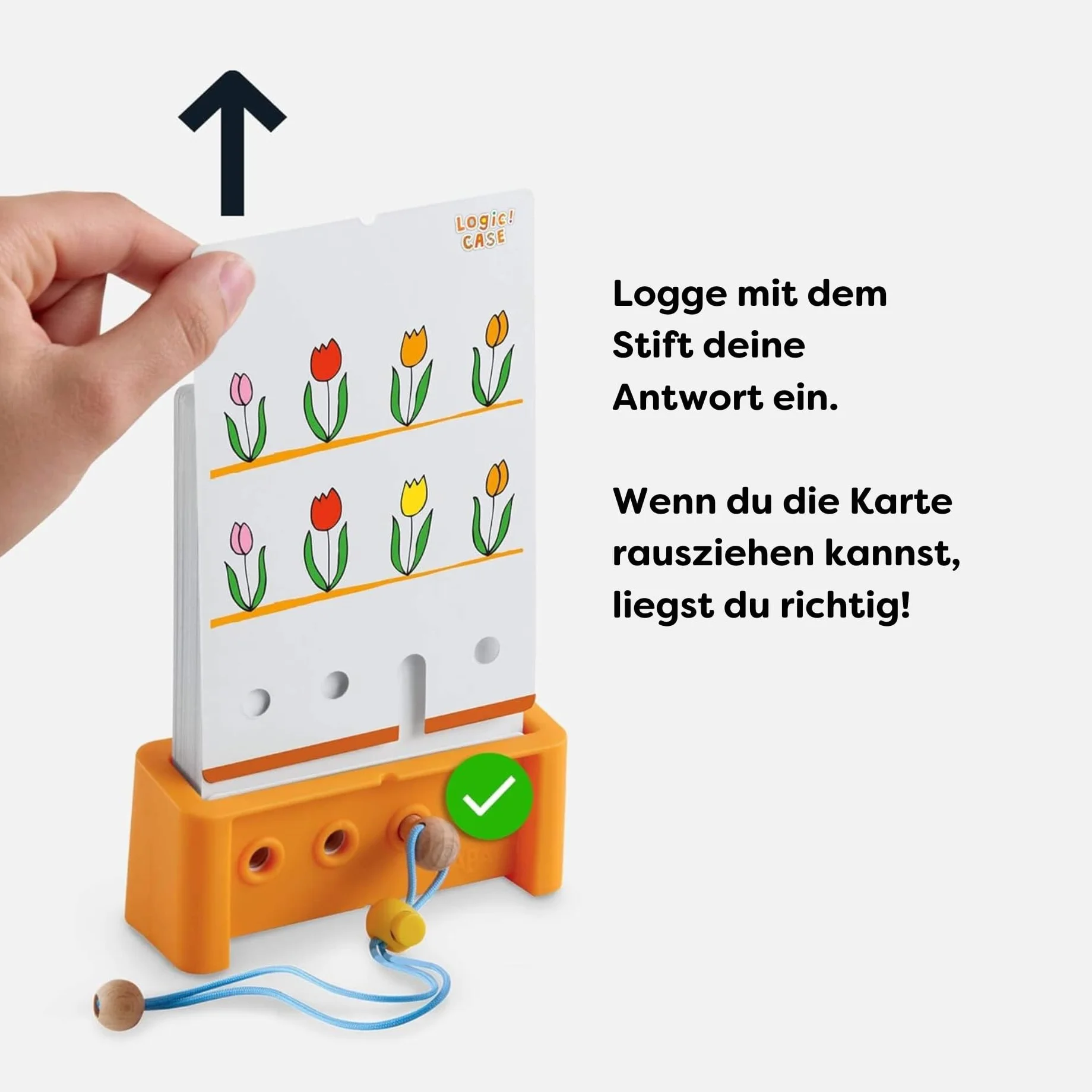 HABA LogiCASE Set de Iniciación 4+ Juego Educativo