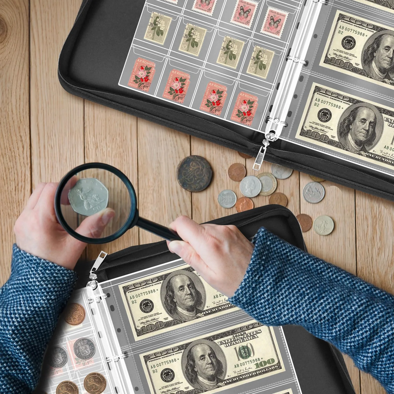 Ignífugo Album Monedas de 2 euros, Monedas Coleccion con 24 Páginas para 300 Monedas y 36 Billetes de Euros, Dólares, Libras Esterlinas y Peniques (Negro)