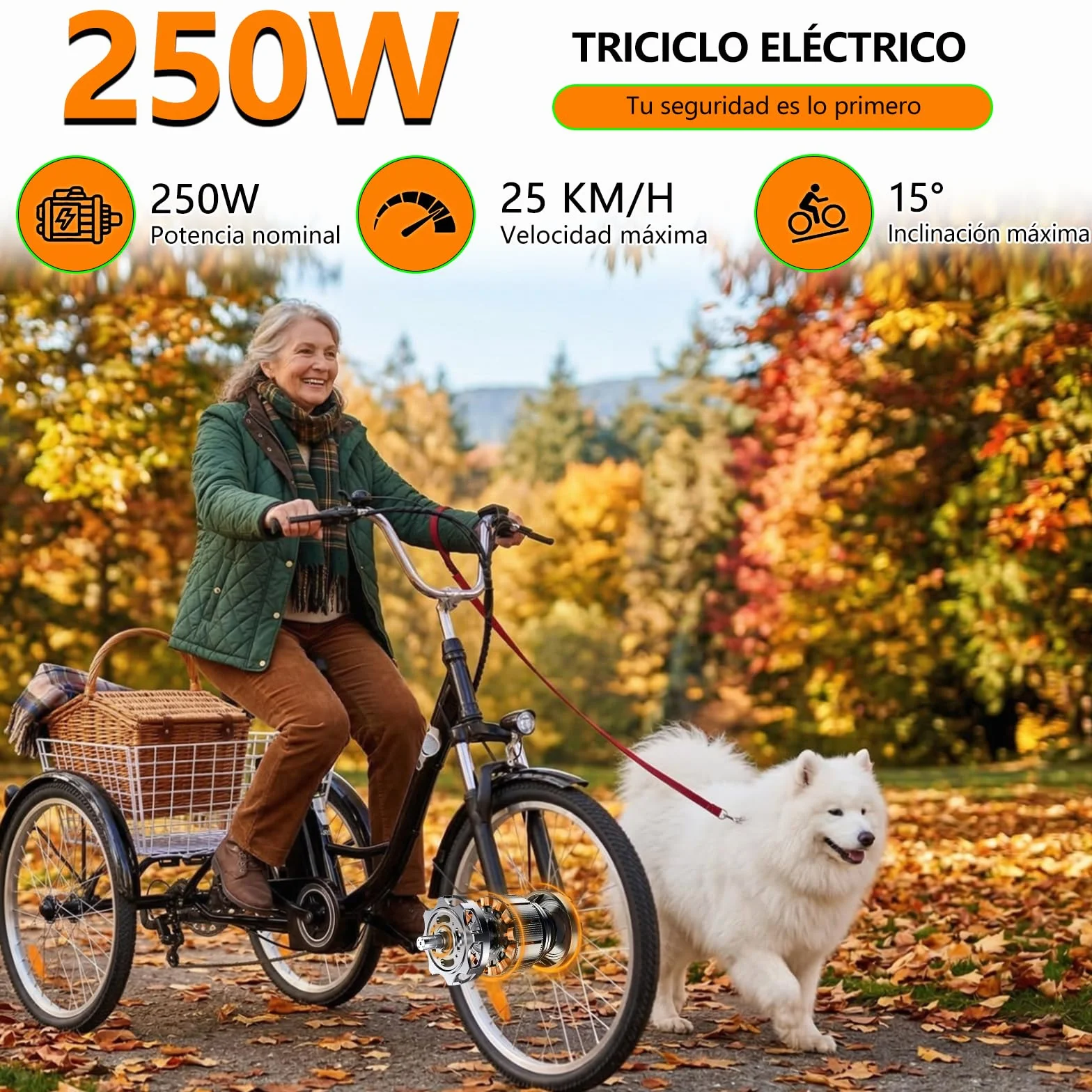 Triciclo eléctrico para adultos, 24 pulgadas, plegable, para hombre y mujer, 3 ruedas, con batería de litio de 36 V, 15 Ah, motor de 250 W, pantalla LCD, velocidad 25 km/h