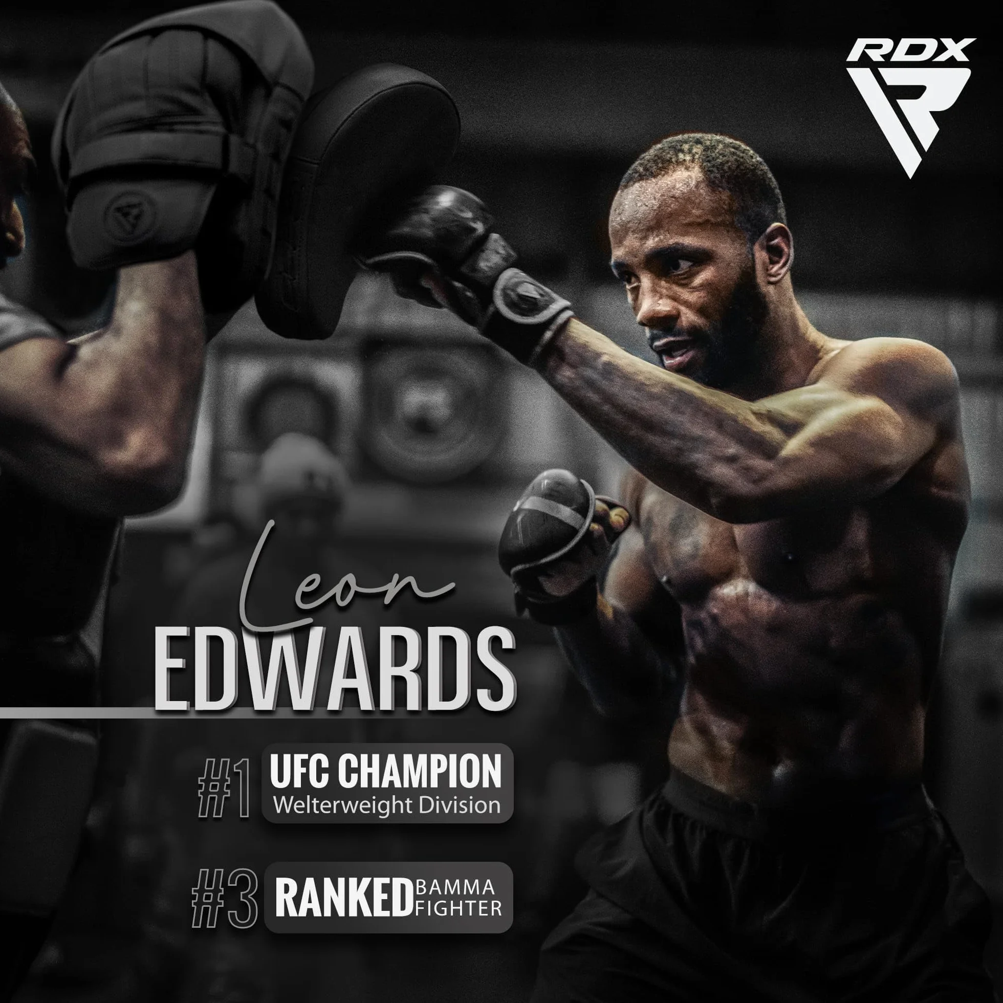 RDX Manoplas de Boxeo Muay Thai MMA Entrenamiento Paos, Maya Hide Cuero Curvadas Boxing Pads