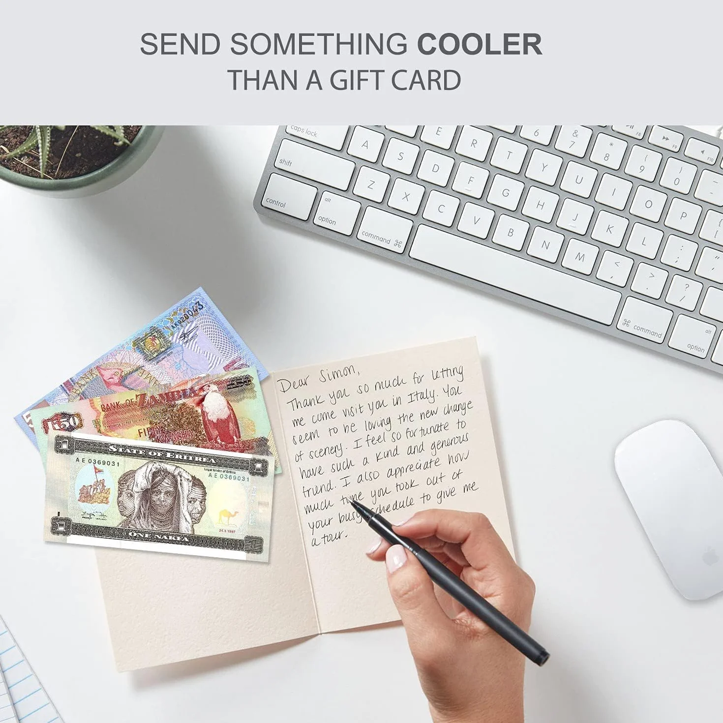 IMPACTO COLECCIONABLES | Colección de 25 Billetes Auténticos de 25 Países Diferentes - Sin Repeticiones, Desmonetizados y Originales | Ideal para Coleccionistas, Incluye Certificado de Autenticidad