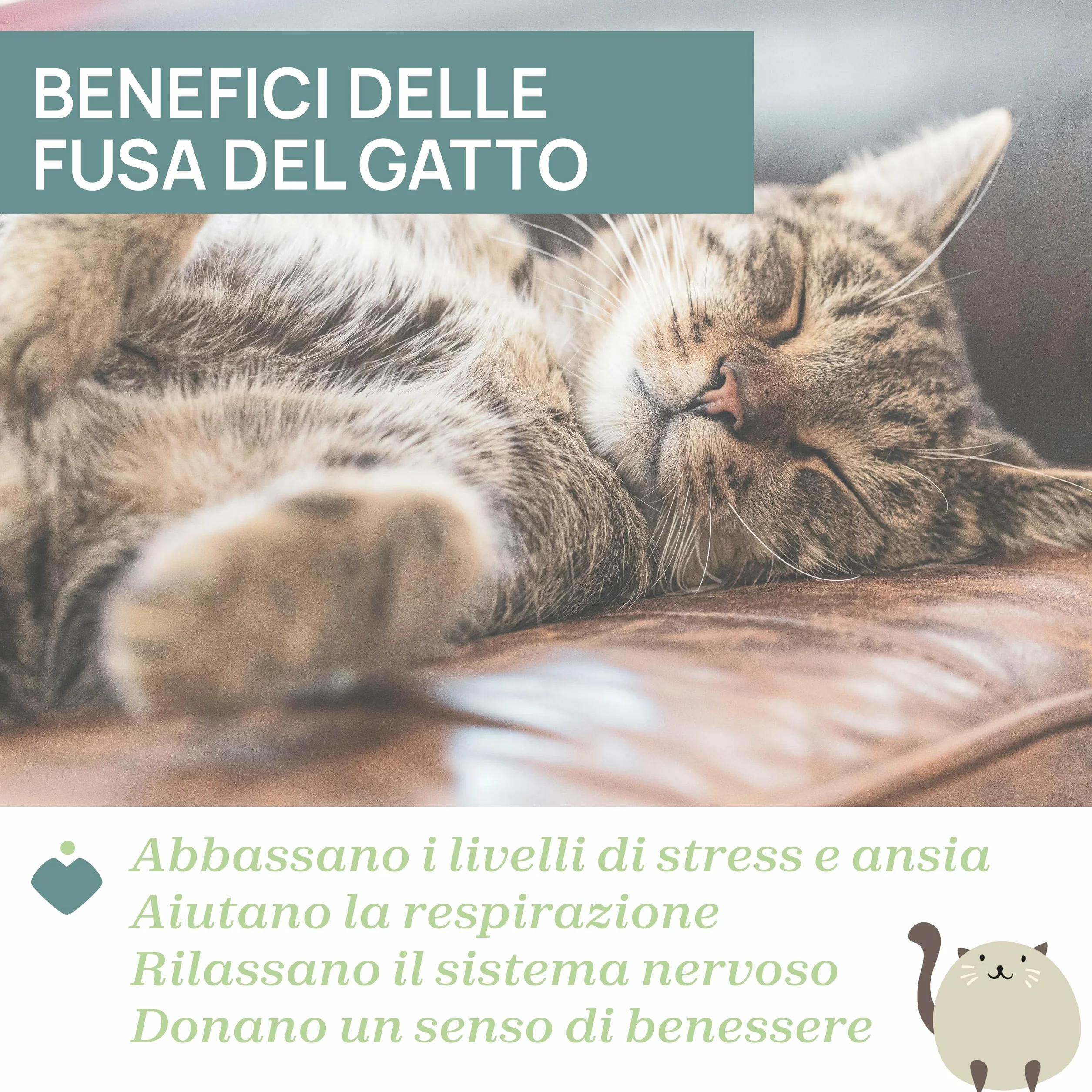 Chicco, Gatito Ronroneador, Peluche Electrónico Interactivo, Reproduce el Sonido y Las Vibraciones de los Ronroneos del Gato, Música Clásica, Tacto Suave, Lavable en Lavadora, Juguete Bebés +0 Meses