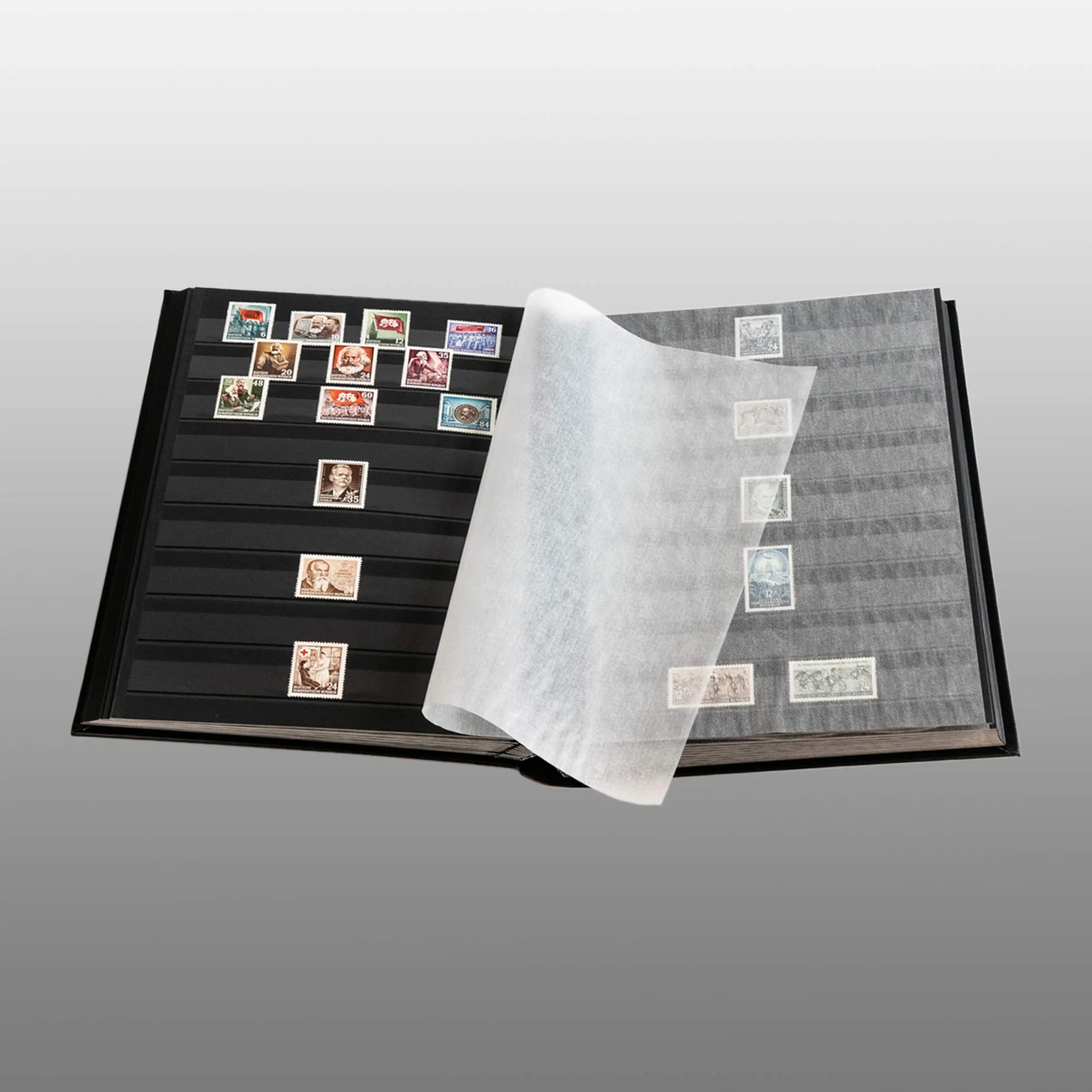 Prophila Clasificador de 60 Paginas Negro con cajetín Protector Azul