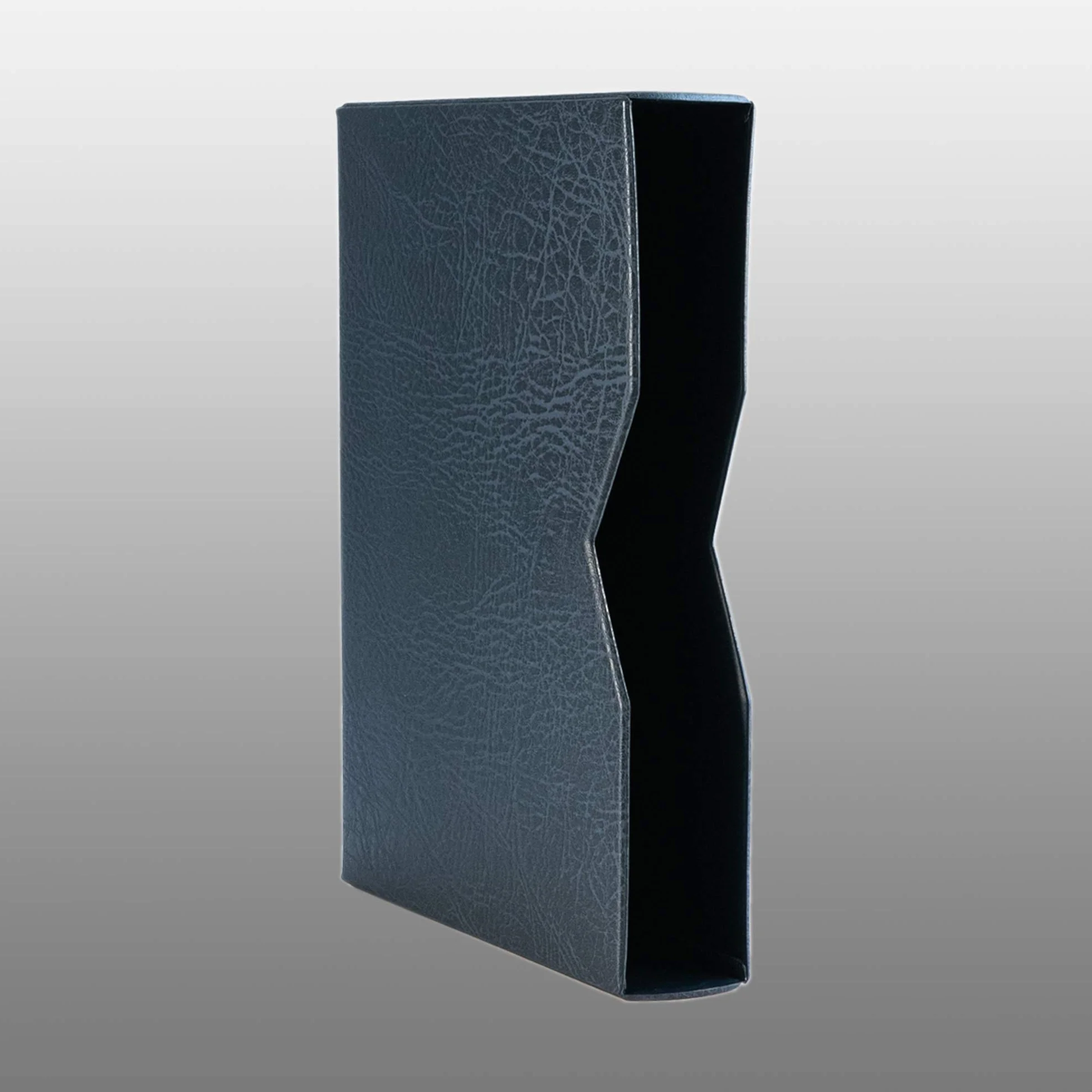 Prophila Clasificador de 60 Paginas Negro con cajetín Protector Azul
