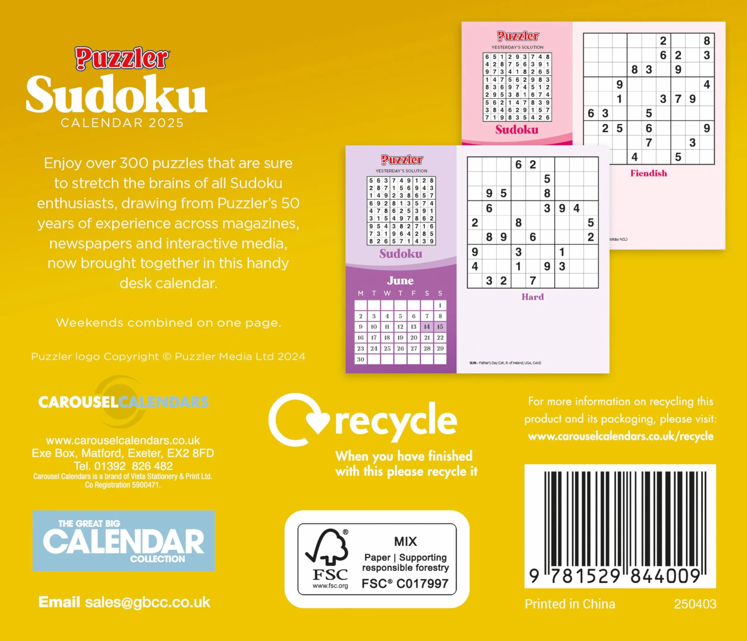2025 Sudoku Puzzler Box