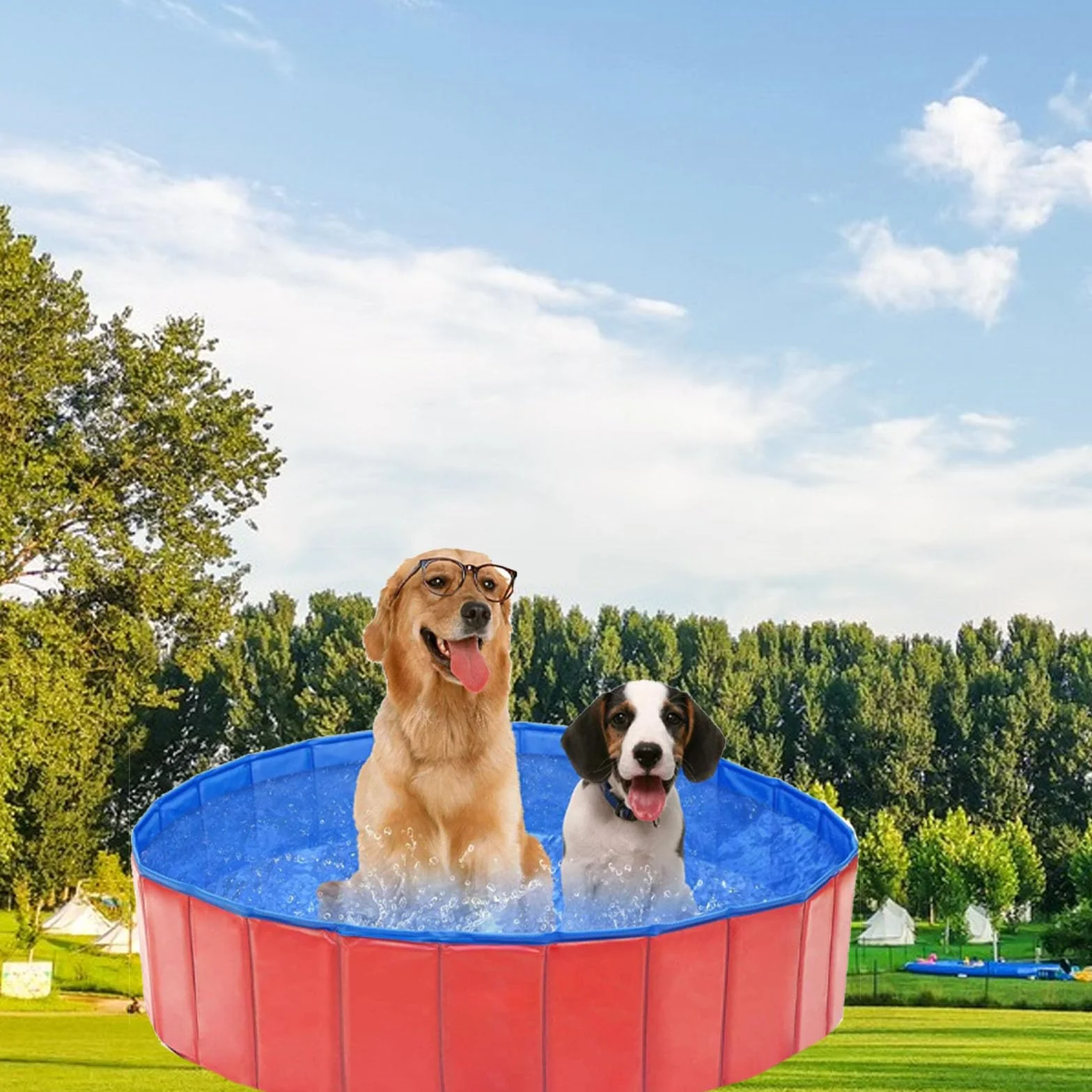Butyeak Plegable - Piscina para Perros y Gatos, Portátil PVC, 60 x 20 cm