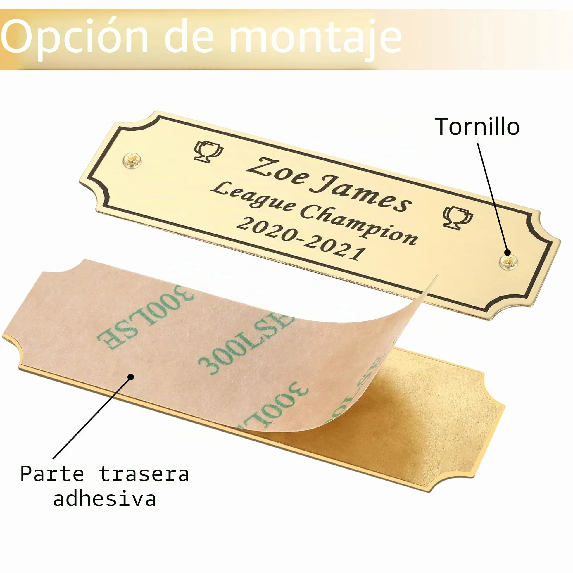 Placa Grabada Personalizable de Latón o Acero 2.5 x 7.6 cm para Trofeos