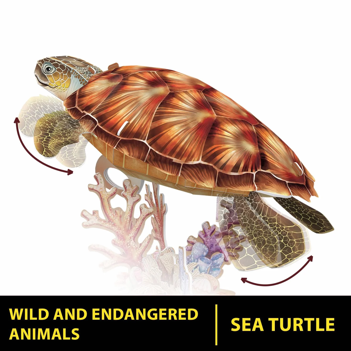 National Geographic - Tortuga Marina | Puzzle 3D | Maquetas para Montar | Regalo Niño 8 Años | Regalo Niña 8 Años | Manualidades Adultos | Puzzle Infantil | 31 Piezas