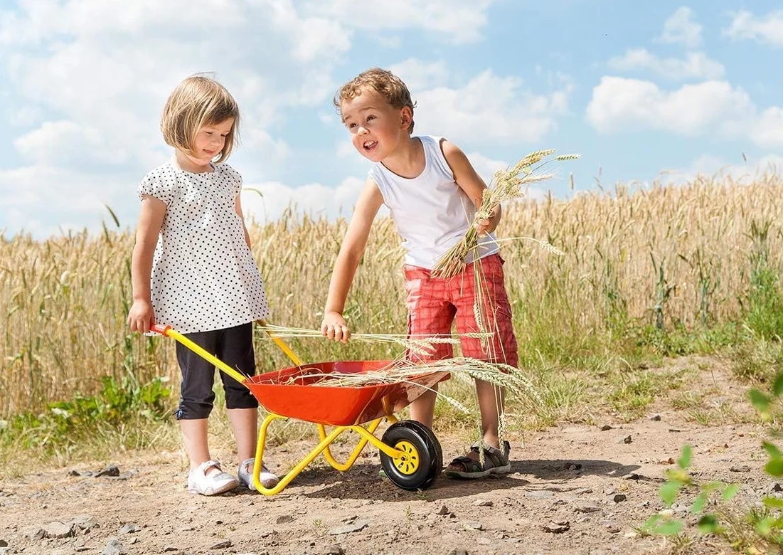 Carretilla Rolly Toys color amarillo/rojo, carretilla de jardín, carretilla de metal, juguete para niños a partir de 2,5 años, capacidad de carga de 25 kg, herramienta de jardinería para niños 27804
