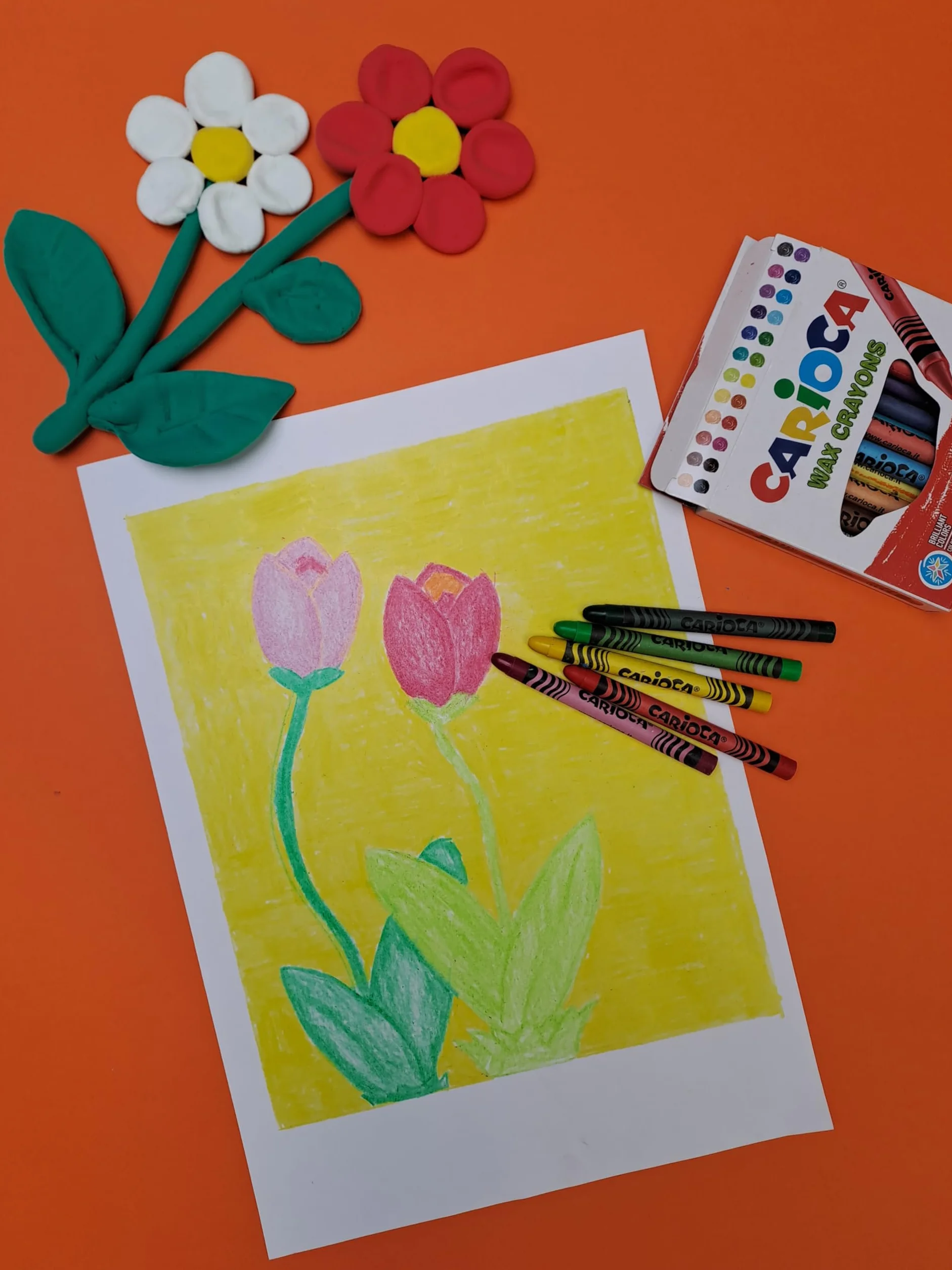 Carioca Ceras Maxi Wax Crayons | Bote con 50 Ceras Lavables con Punta Normal para Niños y Cuerpo Redondo | Colores Brillantes, Suaves y Fluidos | Punta Ø 12 mm | 50 Piezas
