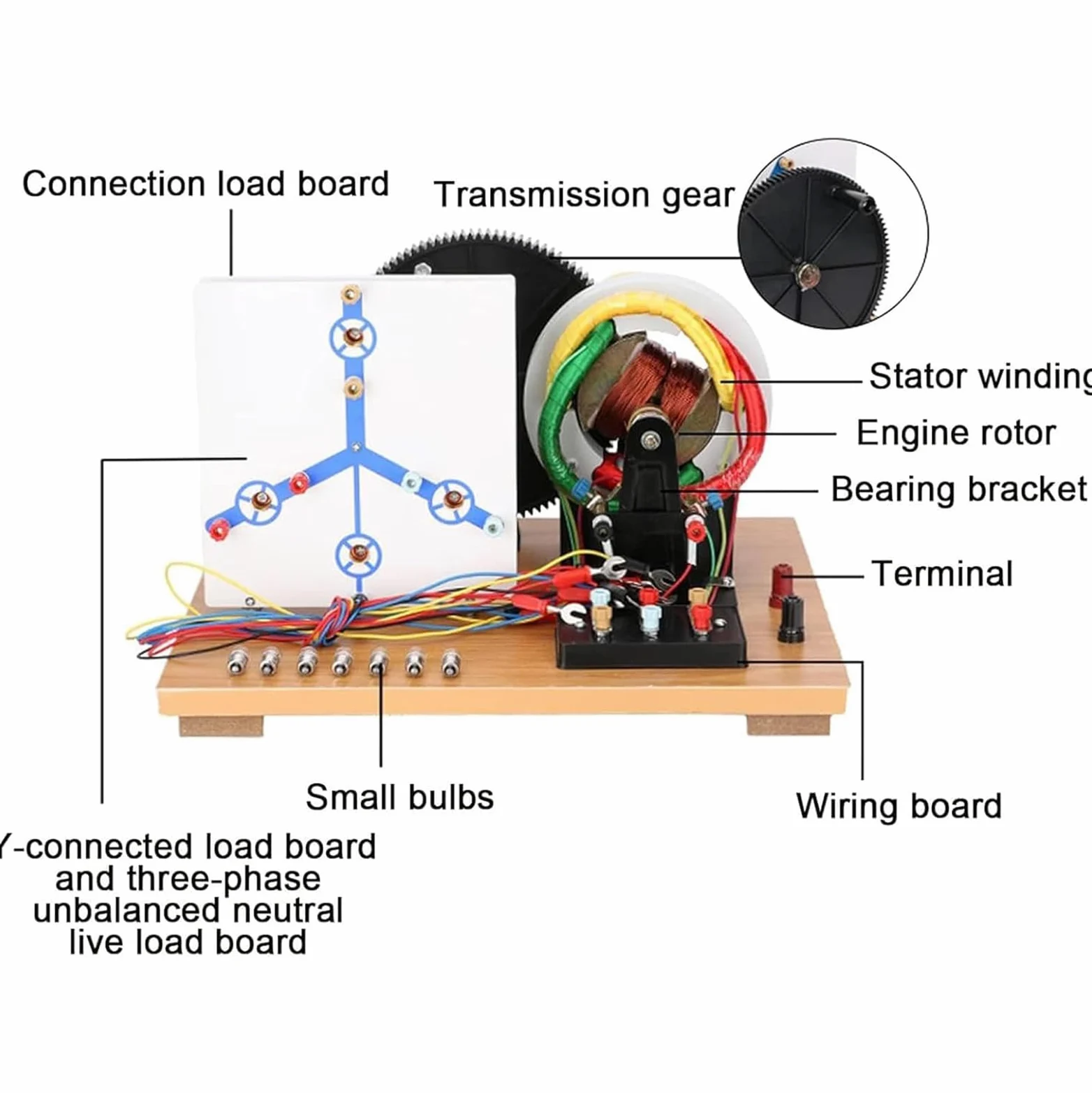 Modelo Físico De Generador Trifásico Ca/CC con Manivela Manual, Modelos De Generadores Dinamo Educativos para Bricolaje, Instrumento Didáctico De Física para Laboratorios Escolares Y