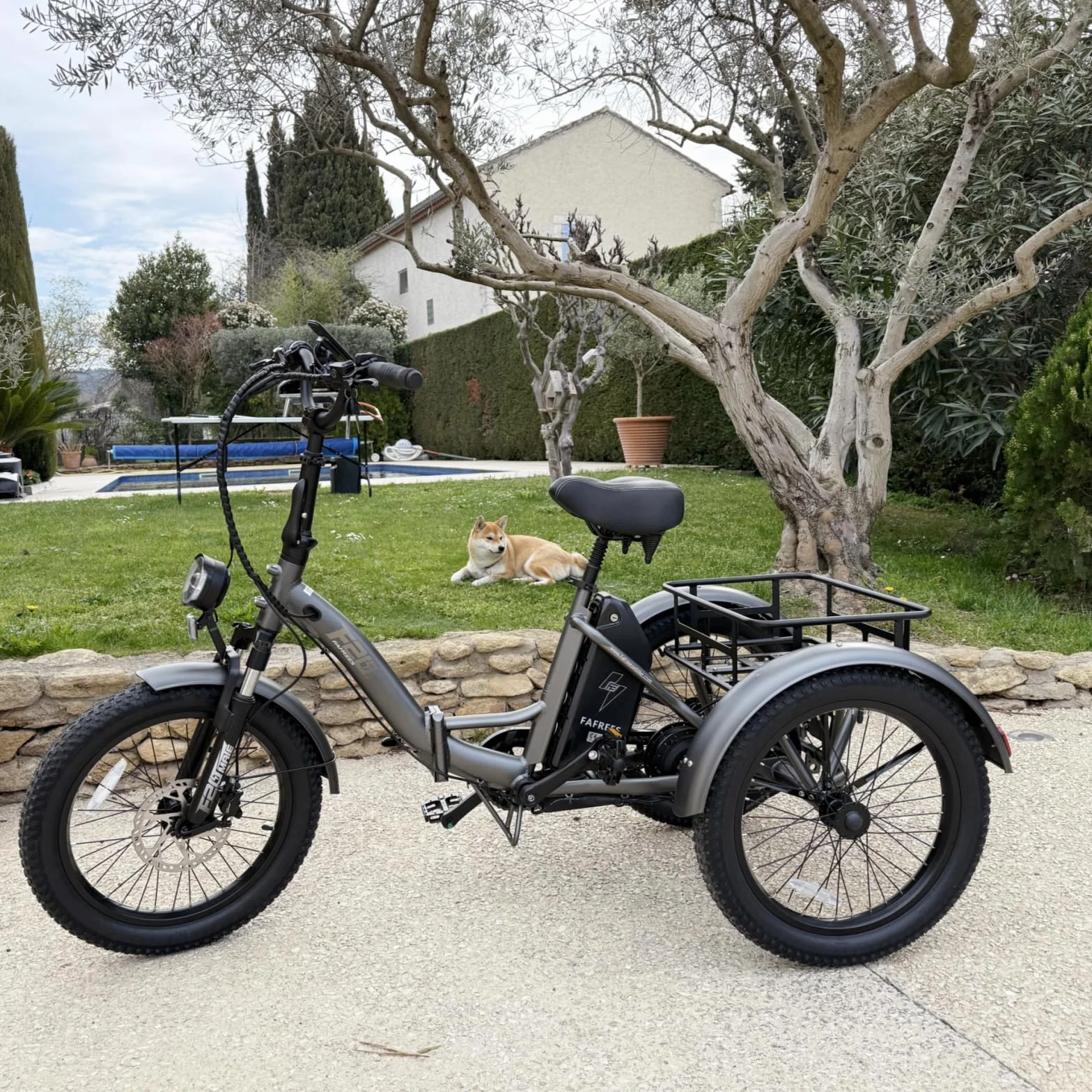 Fafrees Triciclo Eléctrico F20 Mate para Adultos, Plegable 20" x 3", Batería de 48 V/20 Ah, Frenos Hidráulicos, Triciclo de Carga Eléctric 250W, Alcance 115km