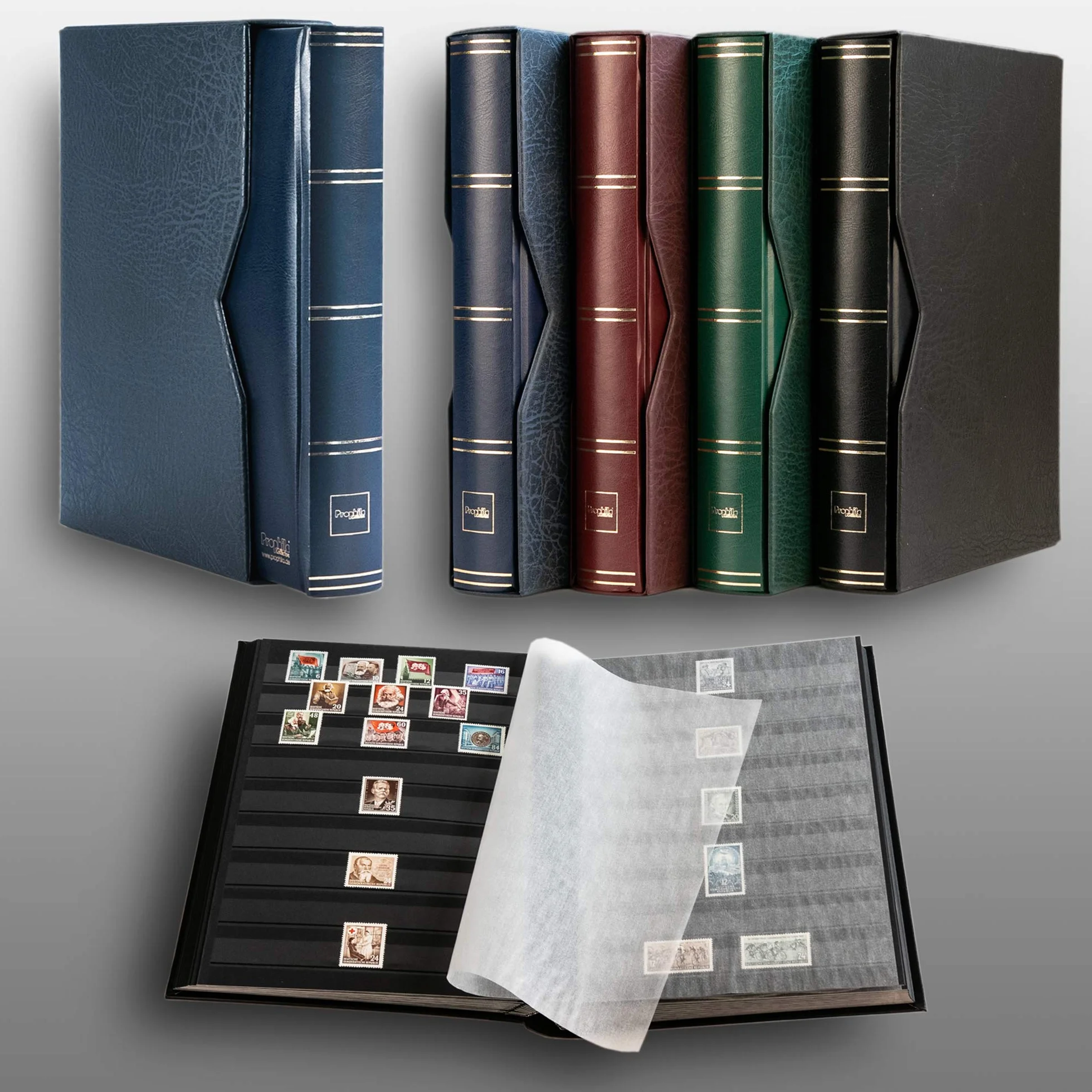 Prophila Clasificador de 60 Paginas Negro con cajetín Protector Azul