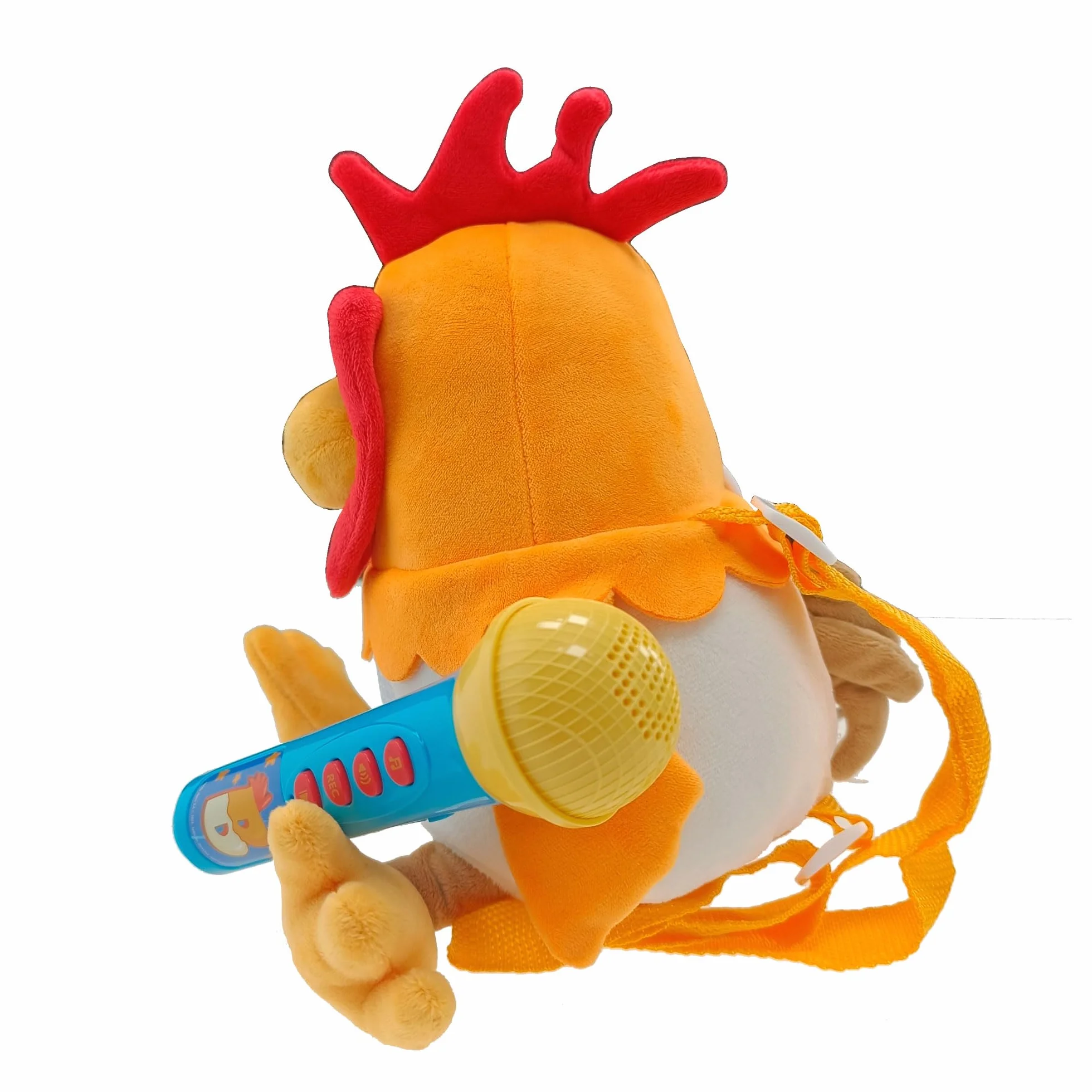 Gallo Bartolito con micrófono. La Granja de Zenón (Reig4935)