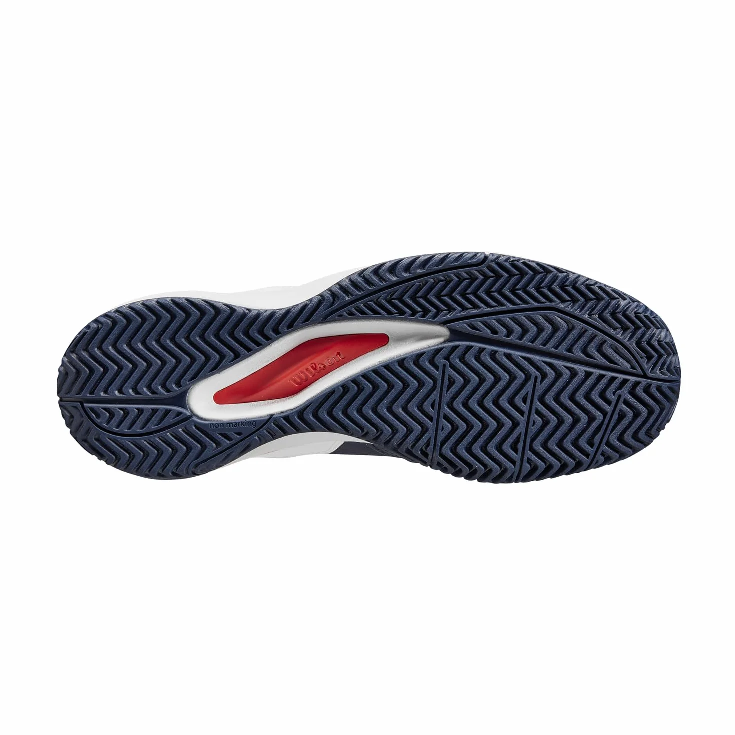 Wilson Rush Pro Ace Clay Azul Mujer
