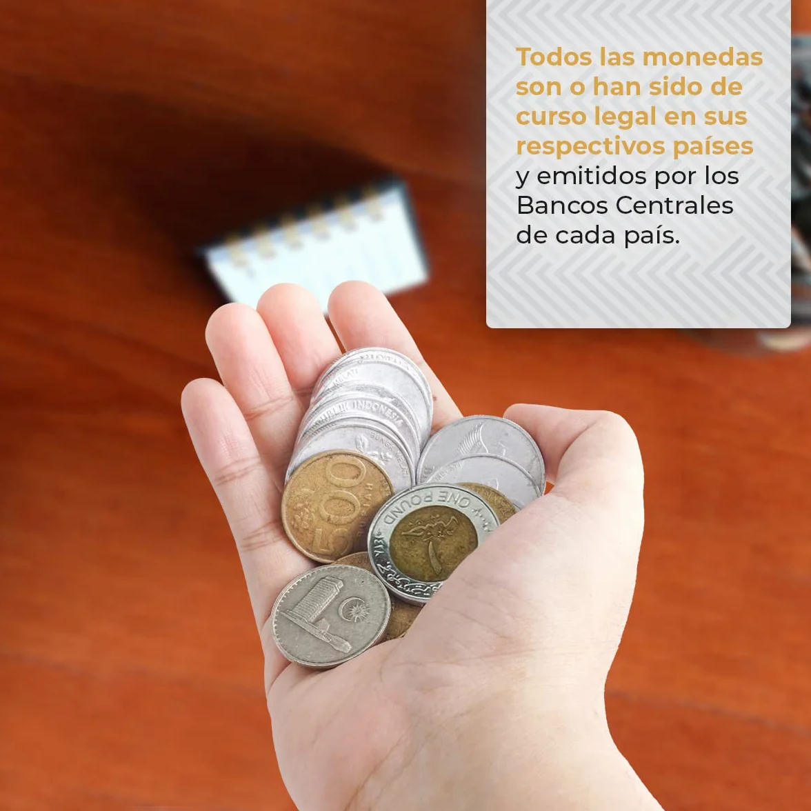 IMPACTO COLECCIONABLES | 1 kg de Monedas del Mundo Auténticas en Cofre de Madera – Gran Variedad de Monedas Antiguas para Ampliar tu Colección – Incluye Certificado de Autenticidad