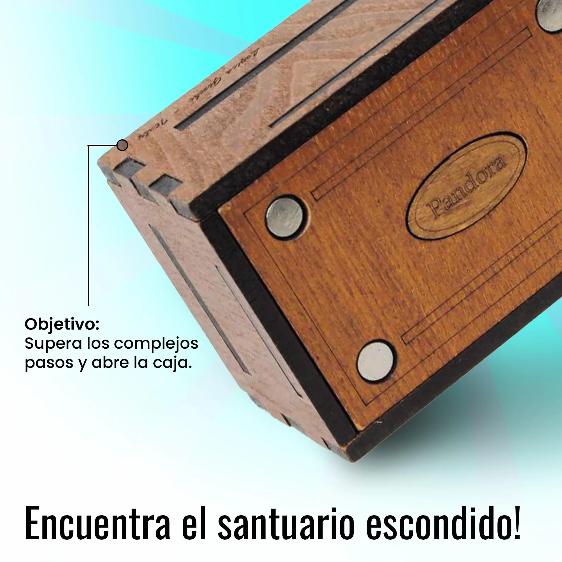 Logica Juegos Art. Pandora Box - El Cofre Secreto - Rompecabezas de Madera - Caja Secreta - Dificultad 5/6 Increíble - Colección Leonardo da Vinci
