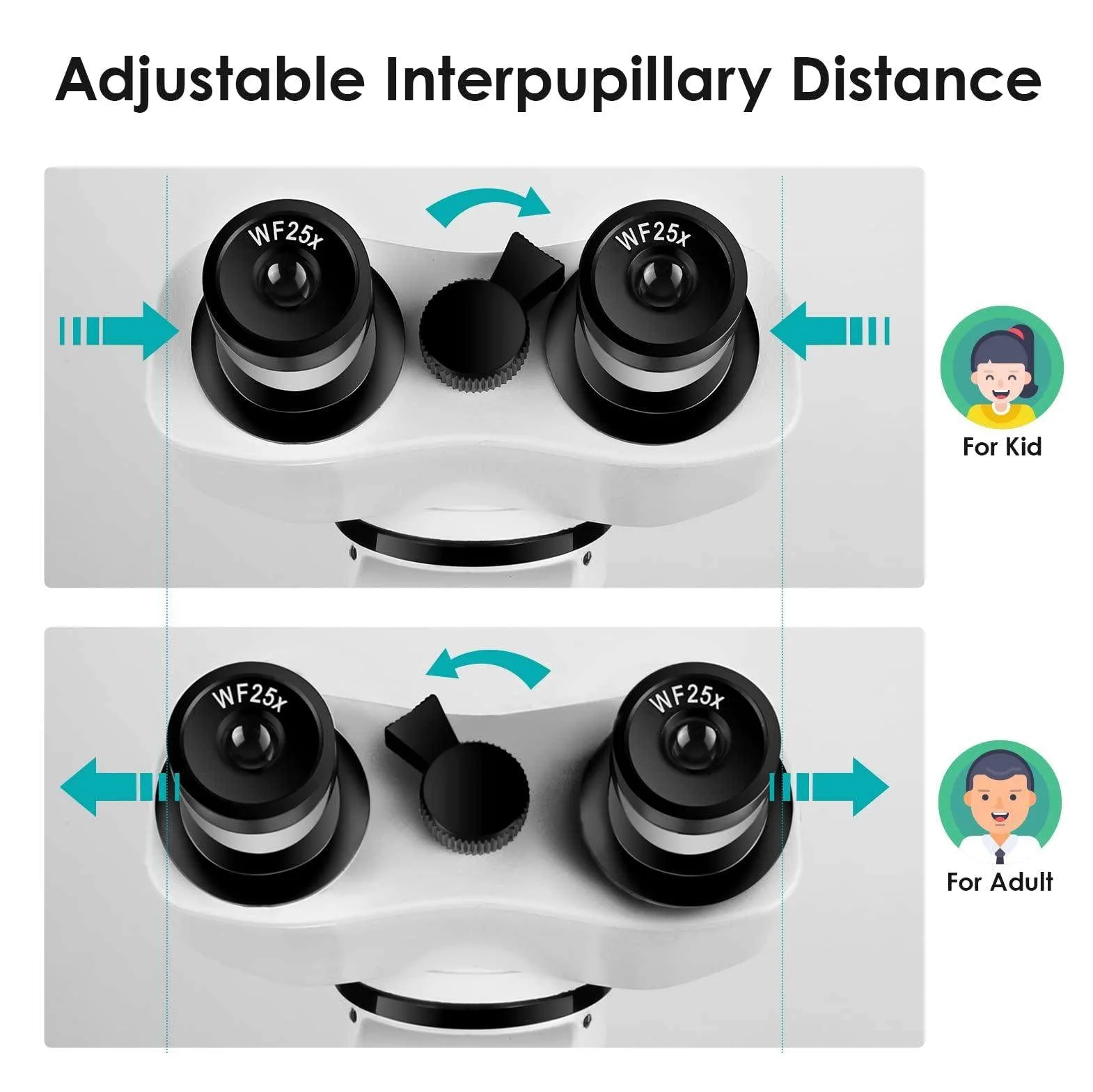 Microscopio Binocular 10000x para Adultos, con Portaobjetos De Microscopio, Soporte para Teléfono Y Kits De Preparación De Muestras, Luces Led Ajustables, Enfoque Coaxial Grueso Y Fino