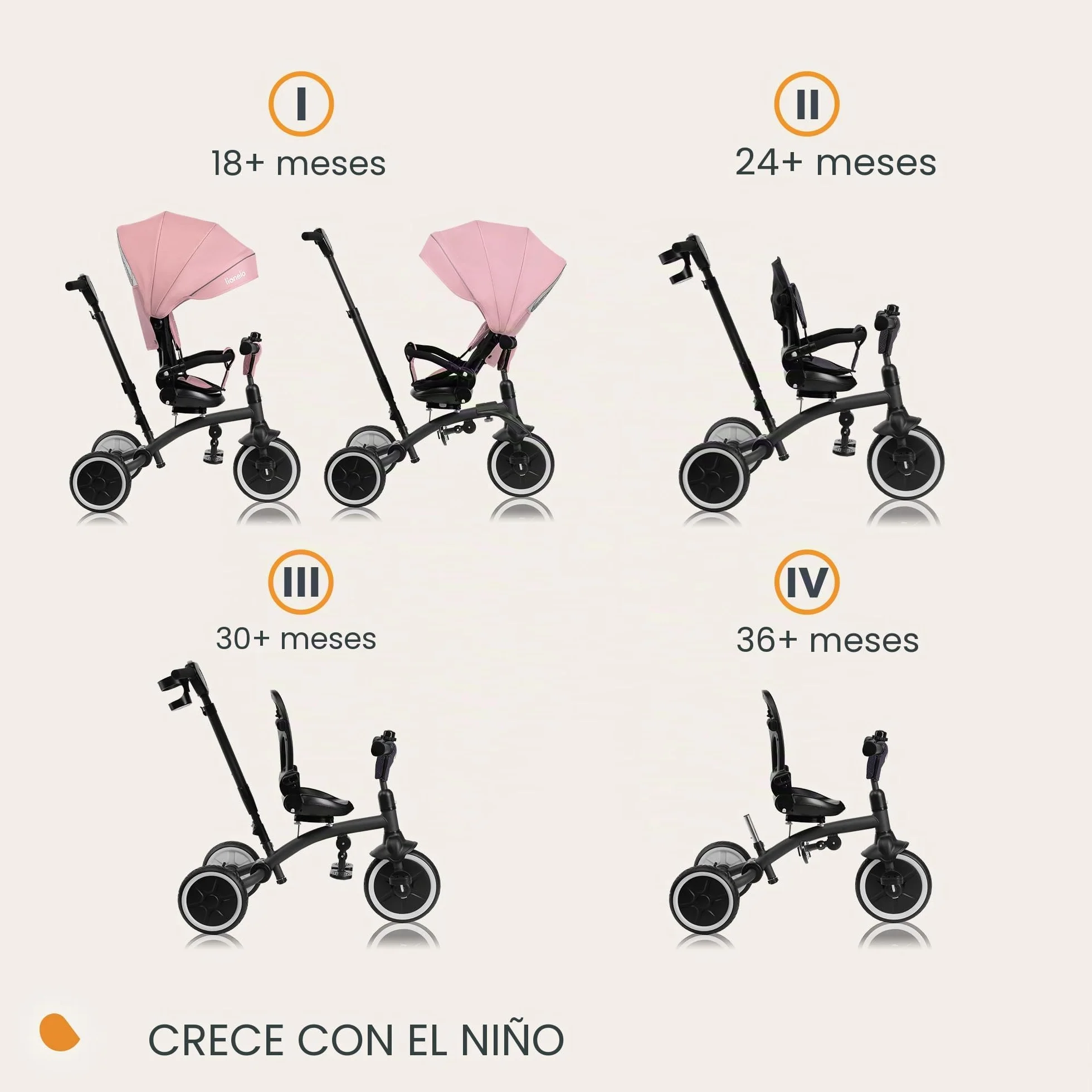 LIONELO Tris Plus Bicicleta de Paseo Triciclo Multifunción de 9 Meses a 25 kg, Carrito Bebé, Ruedas Grandes PU Asiento Giratorio 360° Respaldo Ajustable Montaje sin Herramientas
