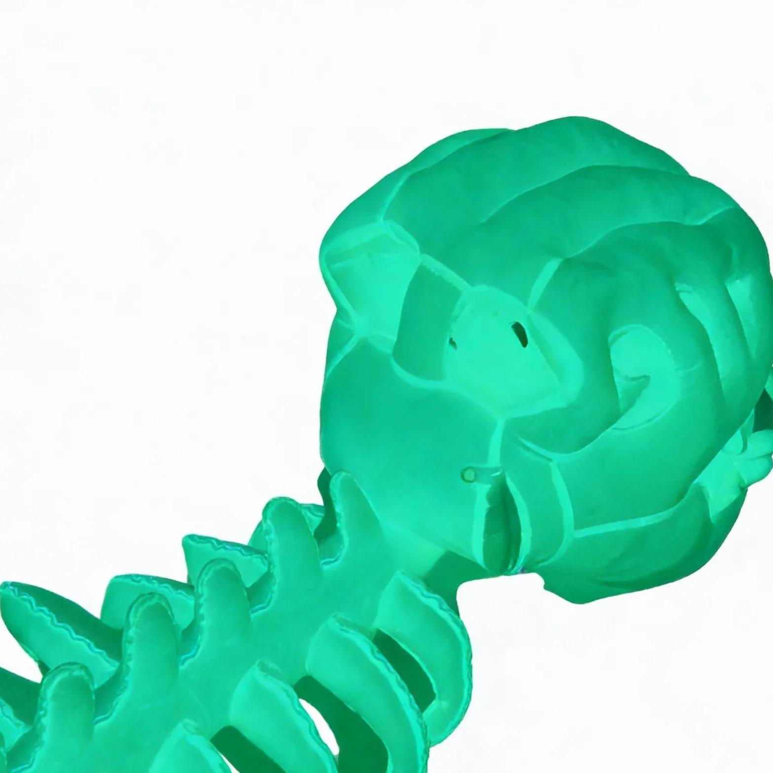 Disfraz De Esqueleto De Dinosaurio Que Ropa Y Accesorios Para Cosplay | Disfraces para Para Niños Y Adultos De Disfraces Convenciones Cómics Y Actuaciones