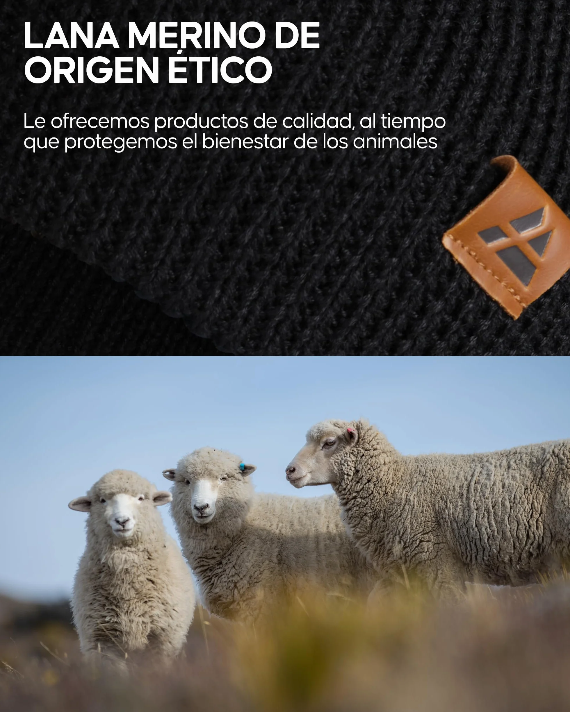 DANISH ENDURANCE Gorro Beanie Lana Merino Hombre Mujer Invierno Suave Elástico Materiales Reciclados