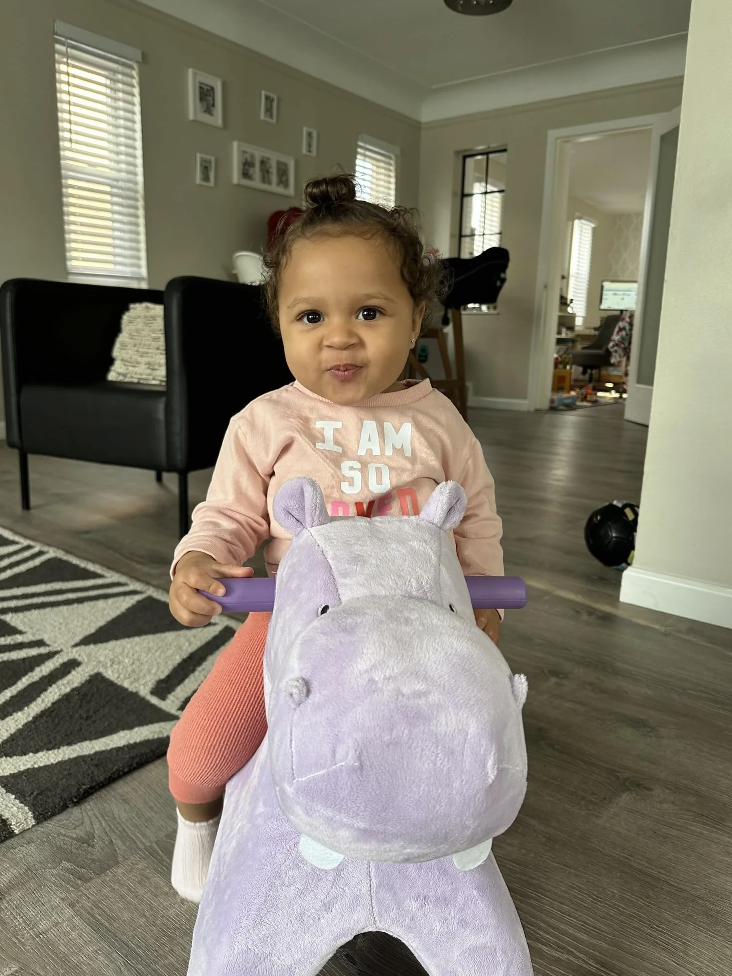 Radio Flyer Holly The Rolling Hippo, Juguete Morado correpasillos para niños pequeños de 1 a 3 años