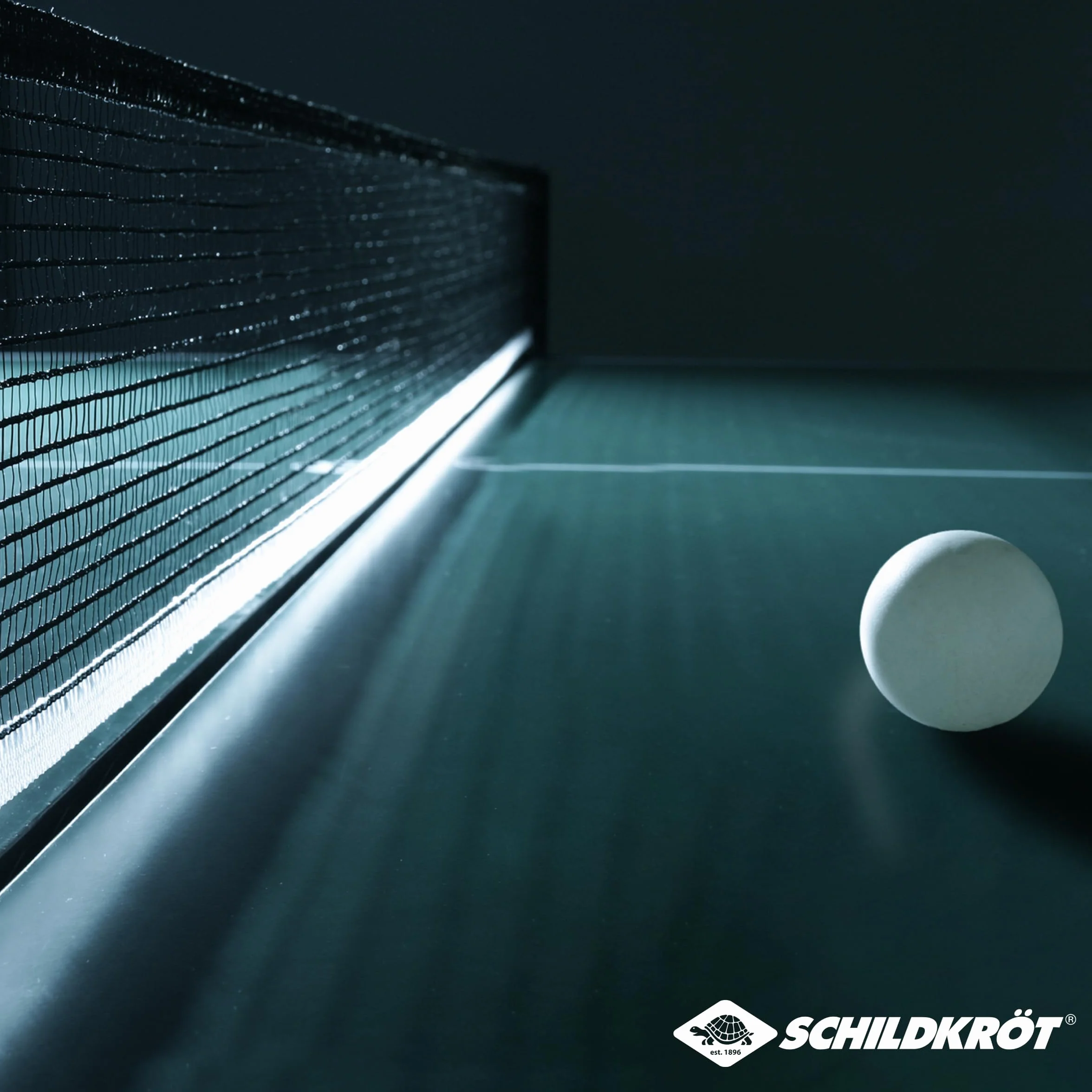 Donic-Schildkröt Pelotas de Tenis de Mesa Champion 3 Estrellas ITTF Poly 40+ 3 Piezas Blanco