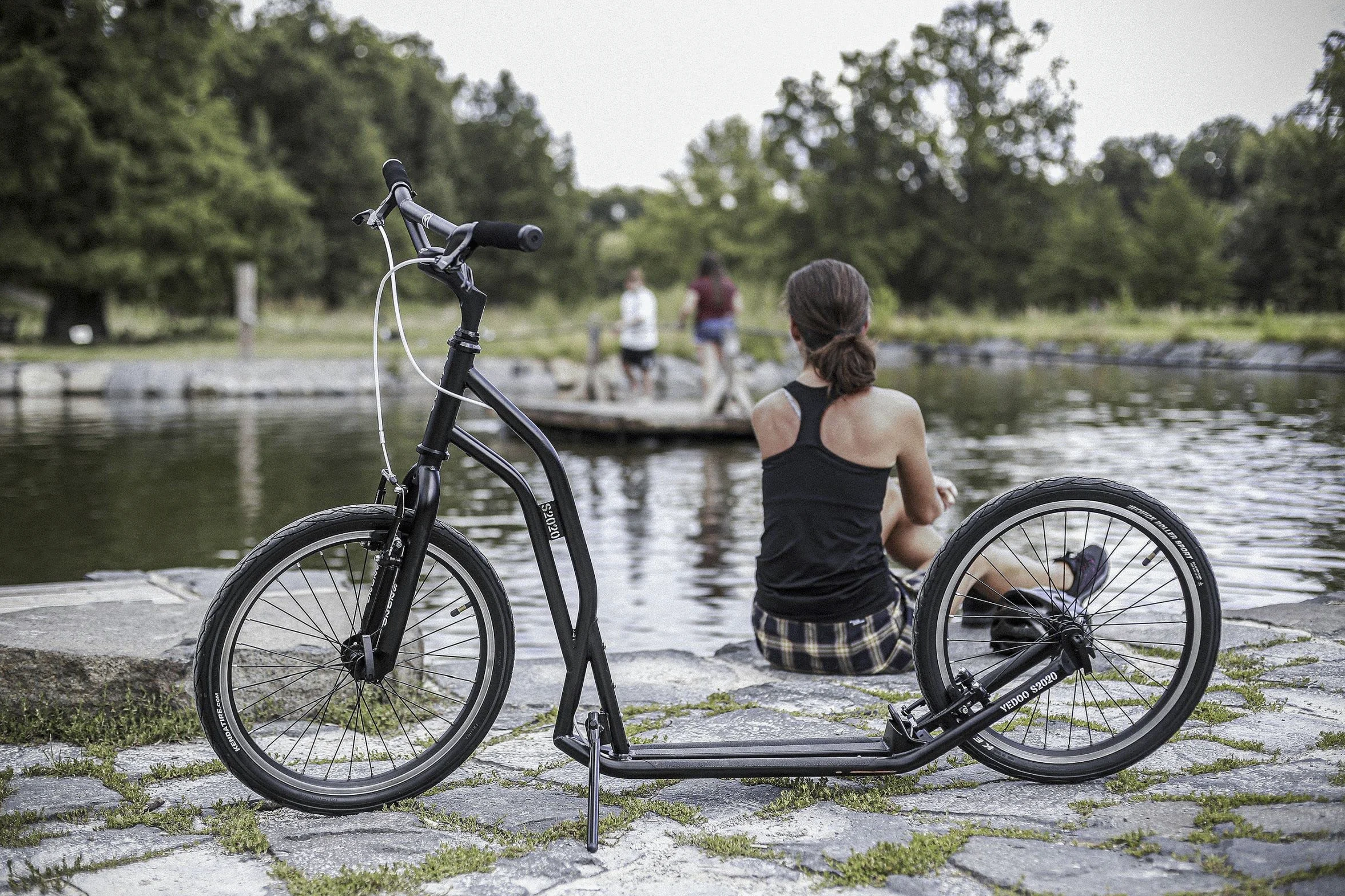 Yedoo S2020 - Patinete de hasta 150 kg, con neumáticos de aire 20/20, patinete para adultos, patinete para perros