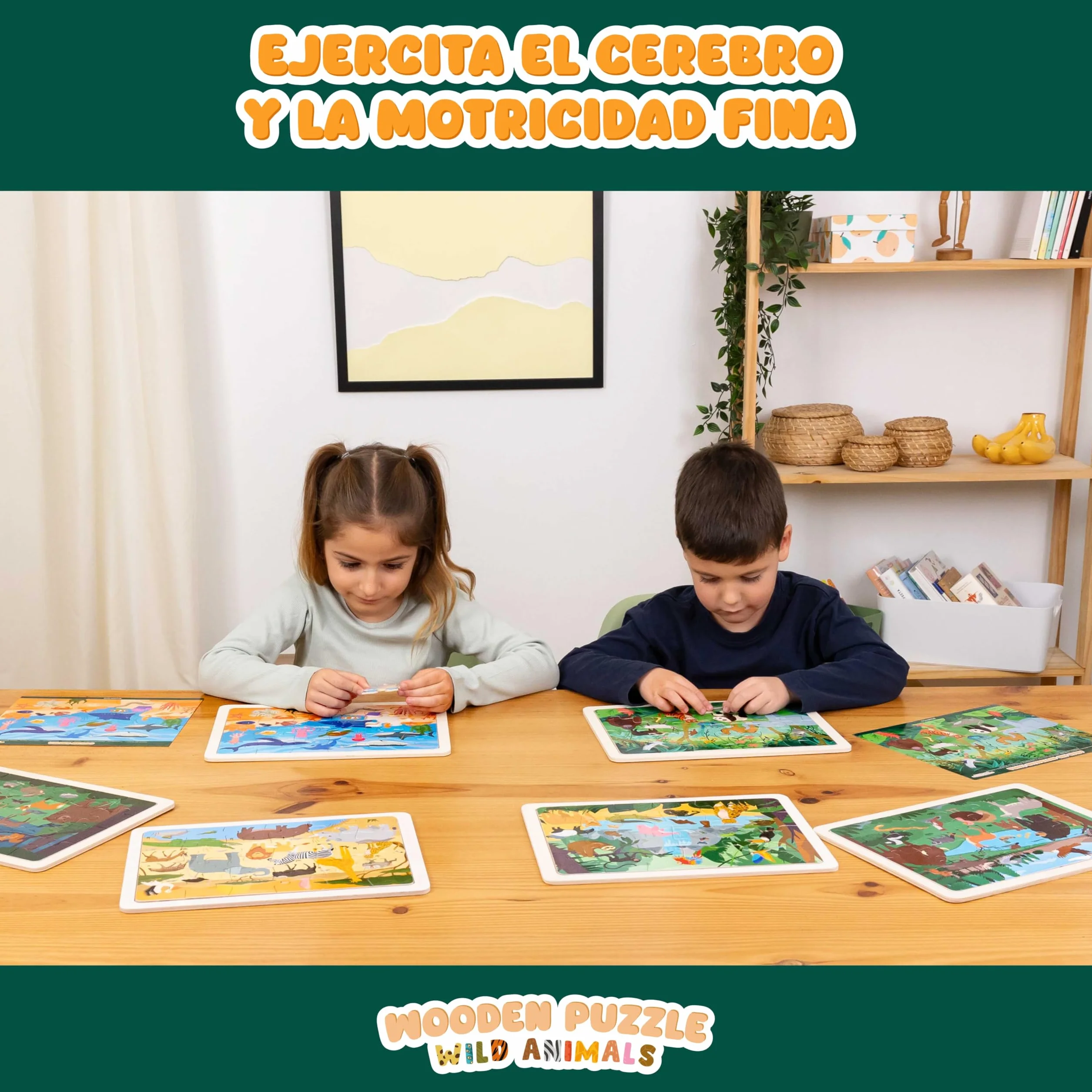BONNYCO Puzzle Madera para Niños 6 Sets 24 Pcs, Animales Ecosistemas, Juguetes Educativos 3-8 Años
