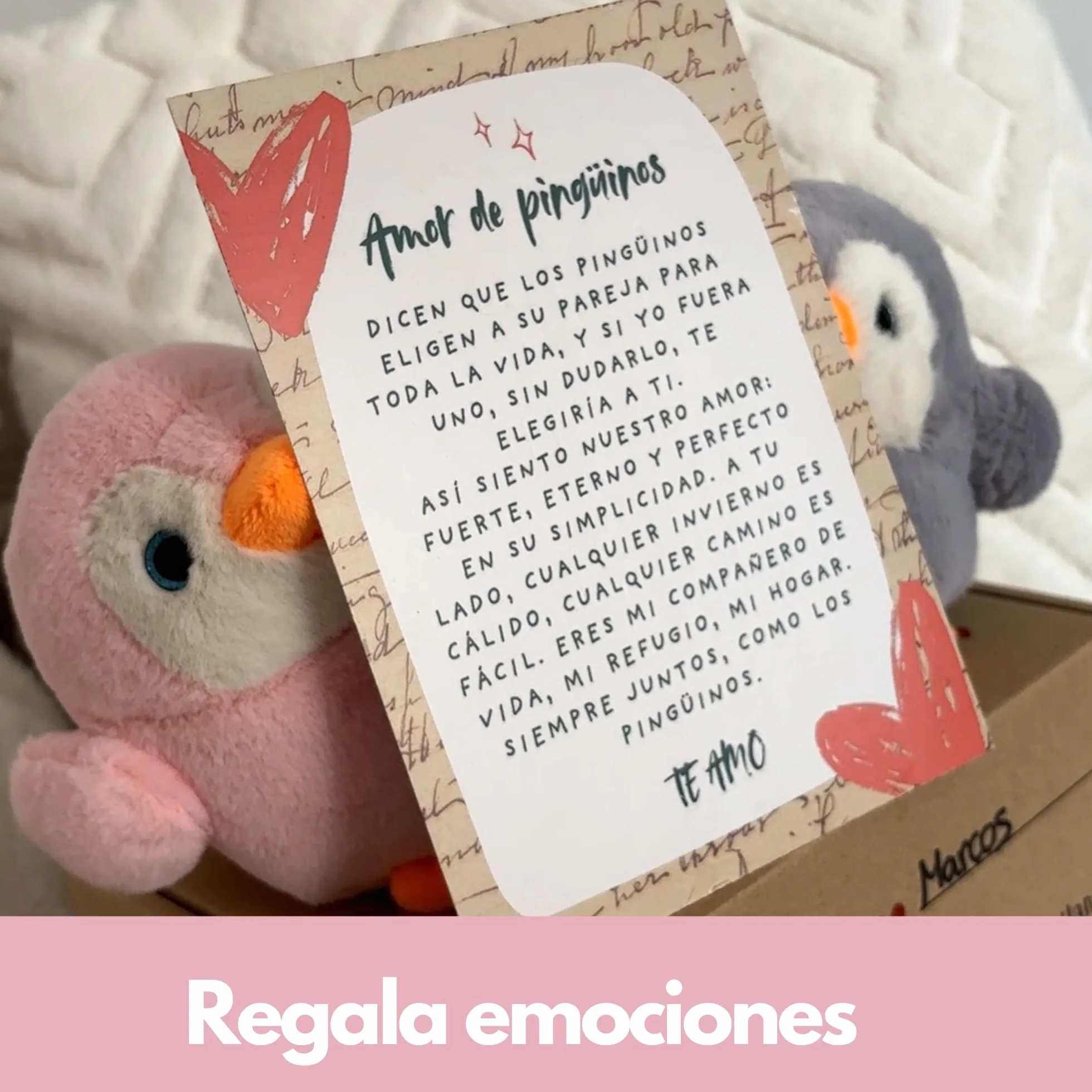 Regalo Pareja | Peluches Pingüino con Carta de Amor y Caja Decorada | Regalos Originales para Aniversario Pareja | Regalos Personalizados para Enamorados o San Valentín