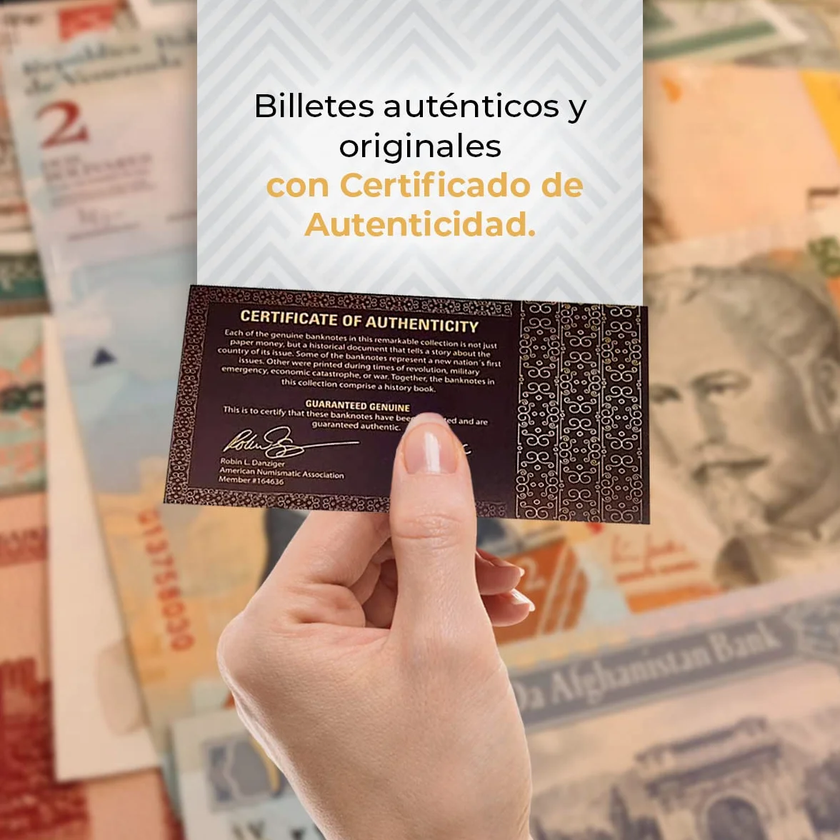 IMPACTO COLECCIONABLES | Colección de 100 Billetes Auténticos del Mundo - Sin Repeticiones, Desmonetizados y de Diversos Países | Ideal para Coleccionistas, Incluye Certificado de Autenticidad