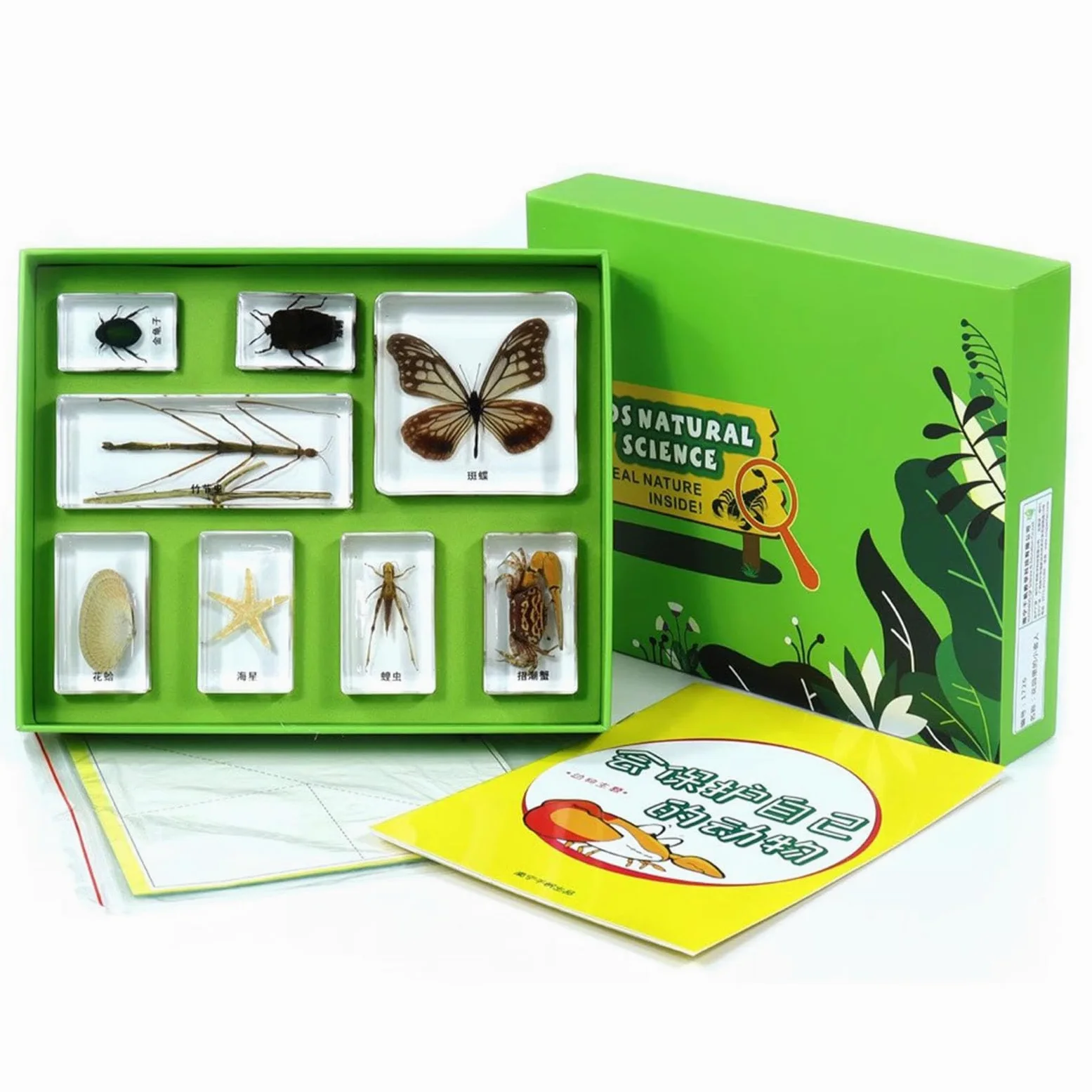 Juego de ejemplares de resina con animales Montessori, regalo de Navidad para la enseñanza científica