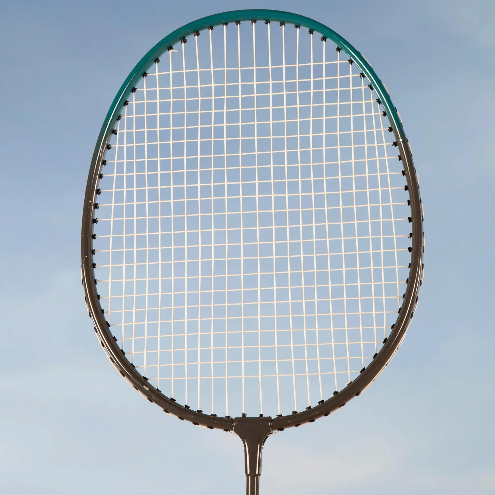 Red Bádminton Portátil 295x160 cm Azul Negro 2 Raquetas 2 Volantes Patas Extensibles Maletín Transporte