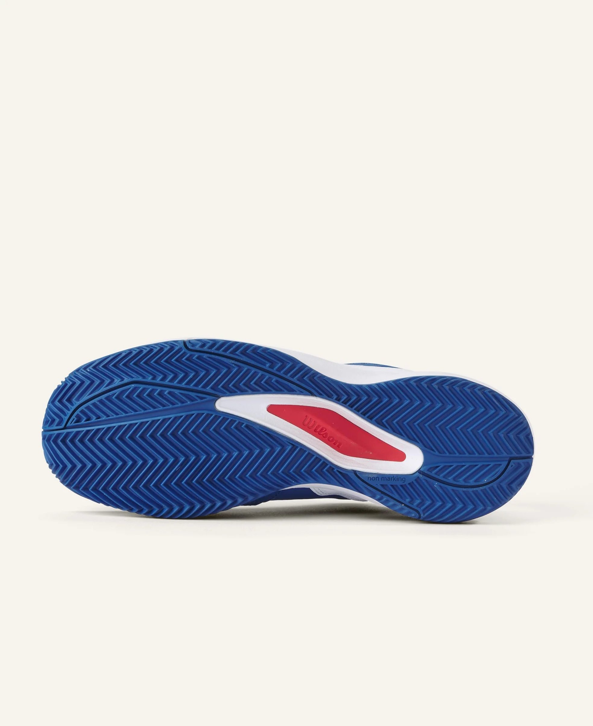 Wilson Rush Pro Ace Clay Zapatillas de tenis Hombre