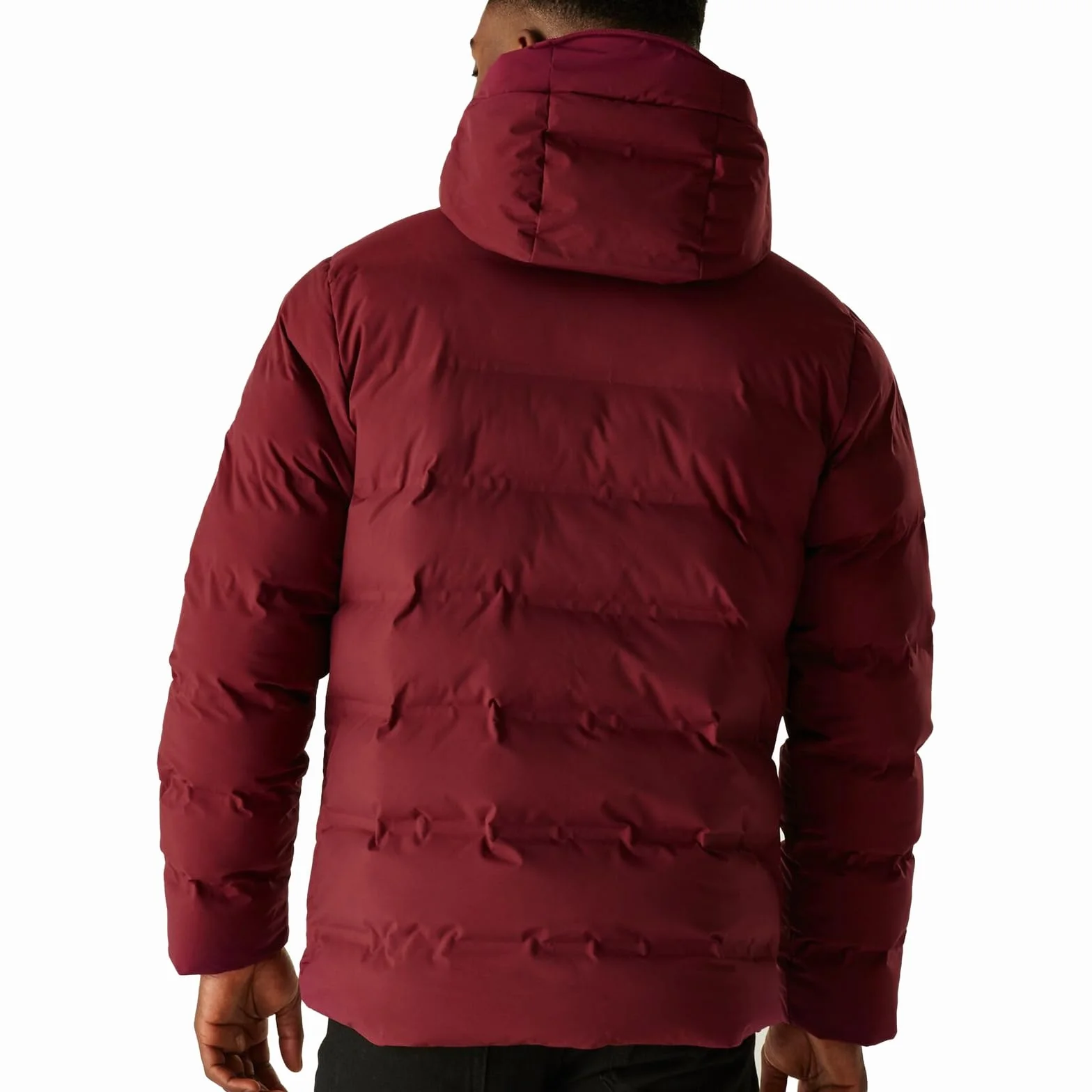 Regatta Altoro Thermal Jacket impermeable para hombre