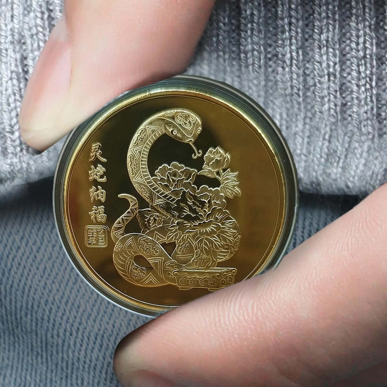 Moneda de la Suerte, Moneda de Buena Suerte - Moneda de Metal portátil de Año Nuevo | Conmemoración Coleccionable, Moneda de desafío del año Lunar, Recuerdo Chino para enriquecer a los coleccionistas