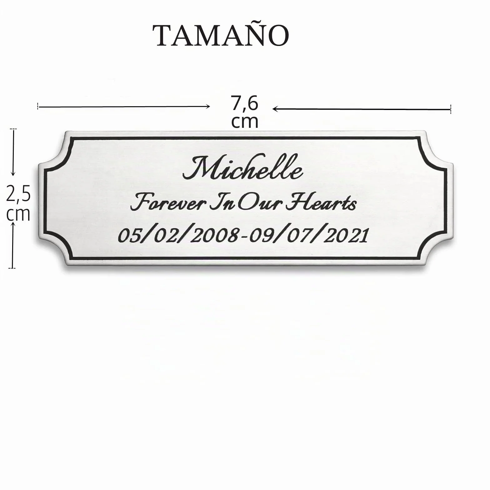Placa Grabada Personalizable de Latón o Acero 2.5 x 7.6 cm para Trofeos