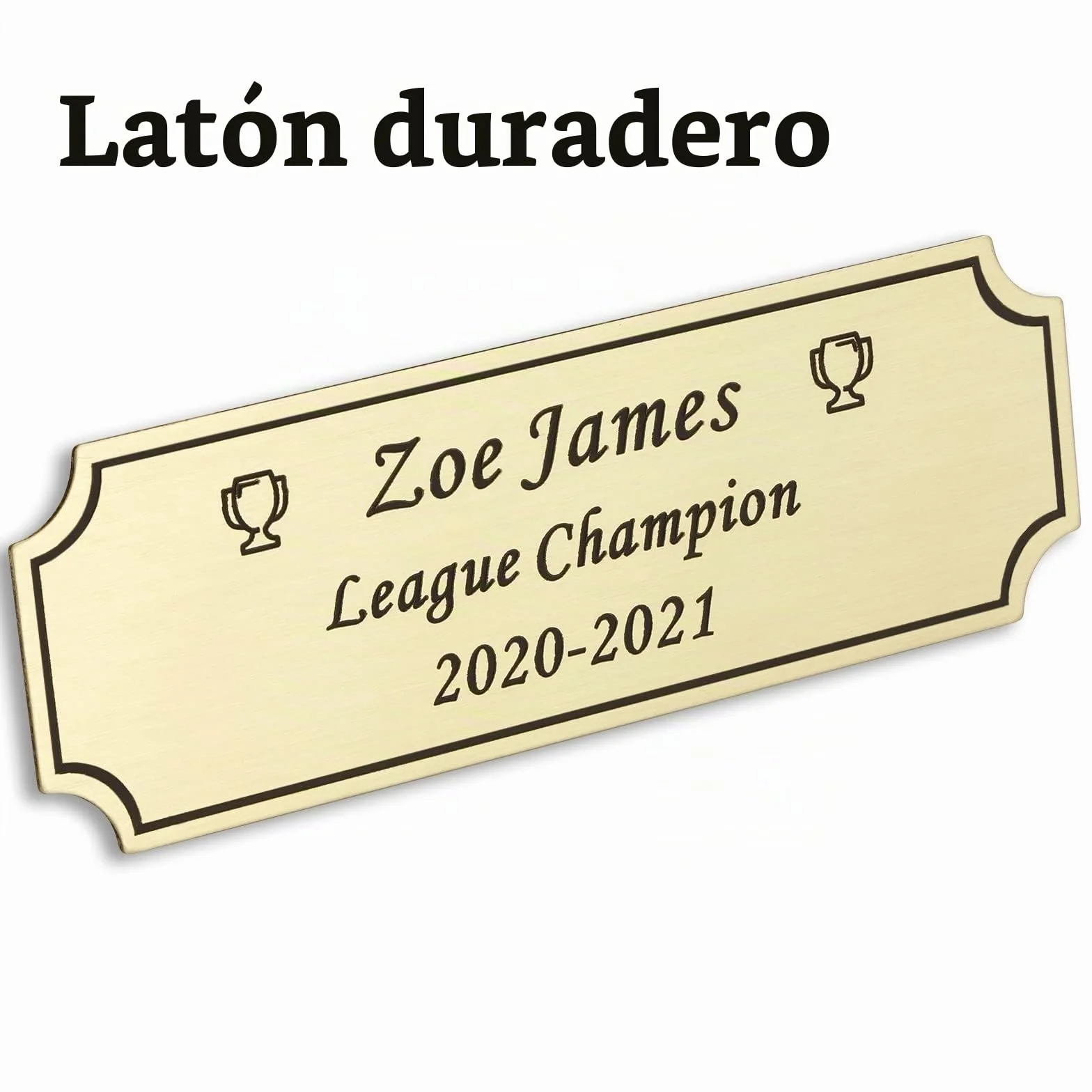 Placa Grabada Personalizable de Latón o Acero 2.5 x 7.6 cm para Trofeos