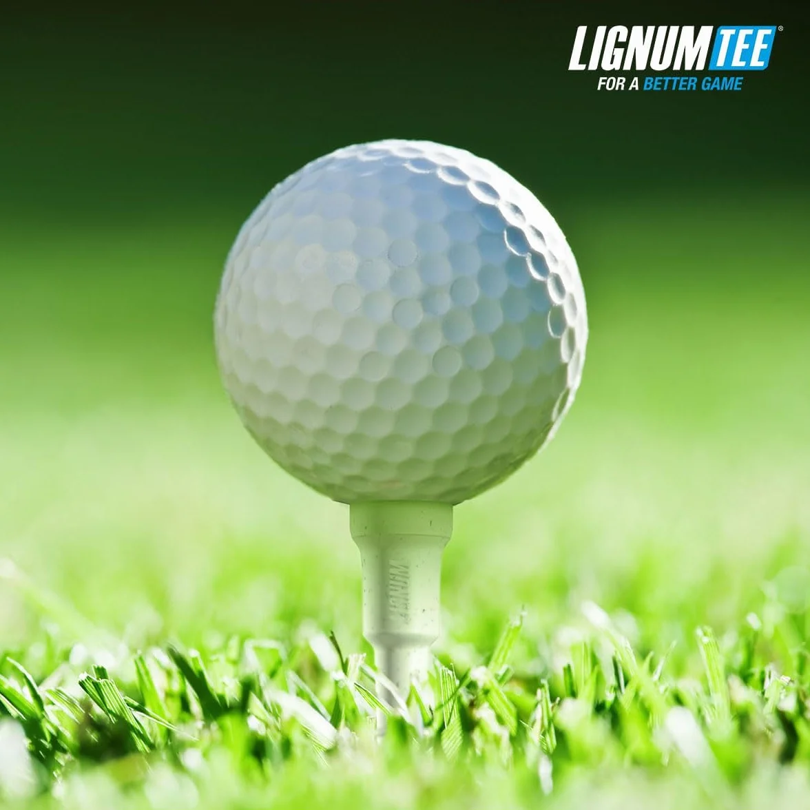 Pack de 12 Tees de Golf Lignum