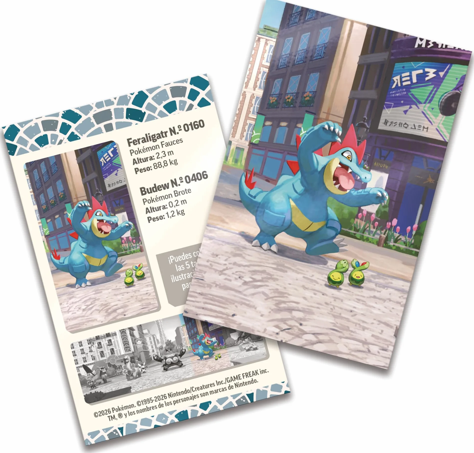 Pokémon JCC Minilata Ciudad Luminalia Feraligatr Budew 2 Sobres Mejora 1 Tarjeta Ilustrada 1 Pegatina