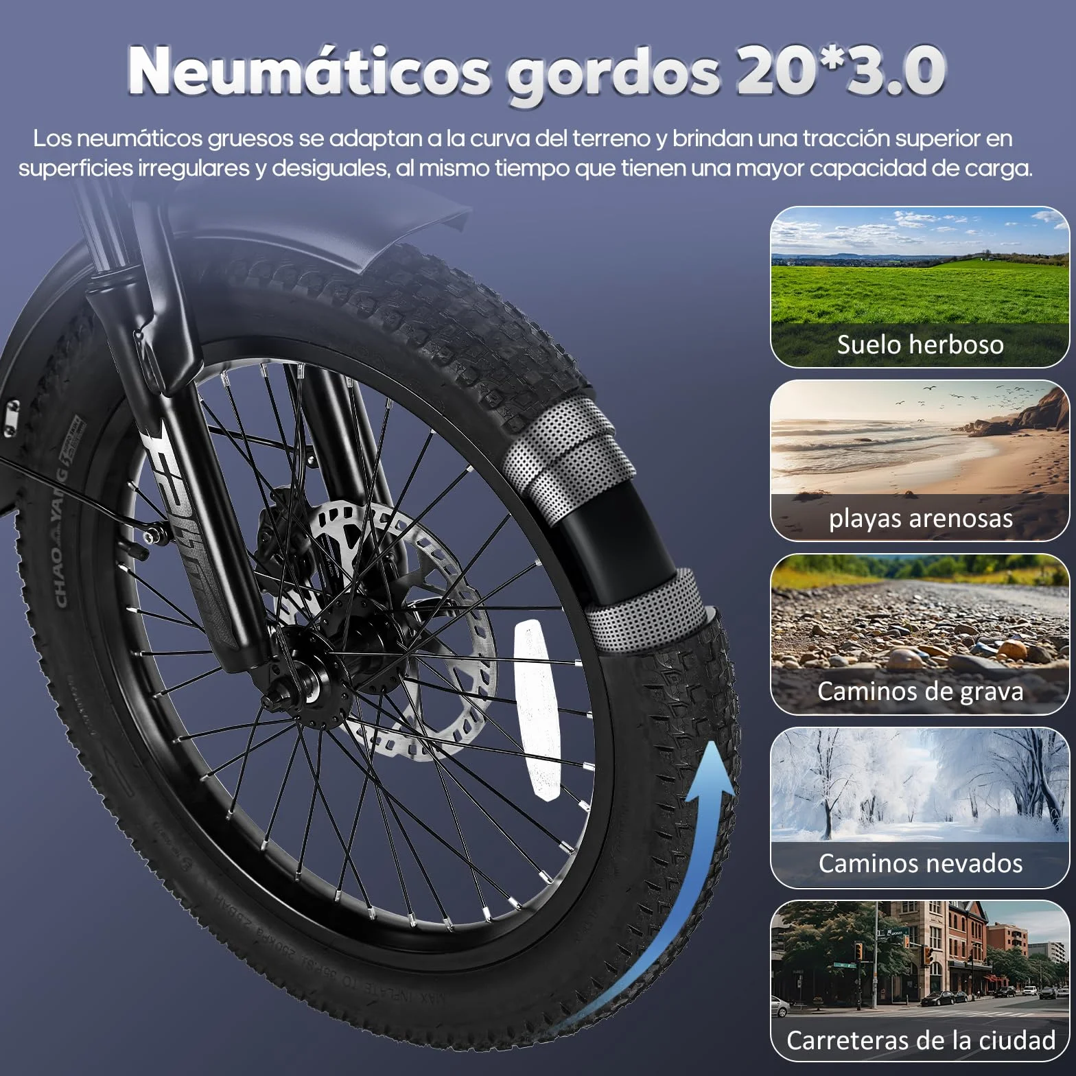 Fafrees Triciclo Eléctrico F20 Mate para Adultos, Plegable 20" x 3", Batería de 48 V/20 Ah, Frenos Hidráulicos, Triciclo de Carga Eléctric 250W, Alcance 115km
